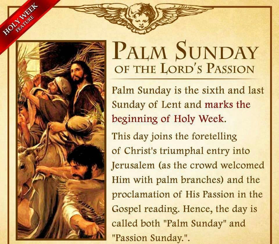 Psalm sunday quotes Palm sunday blessed palm prayer quote image HD free