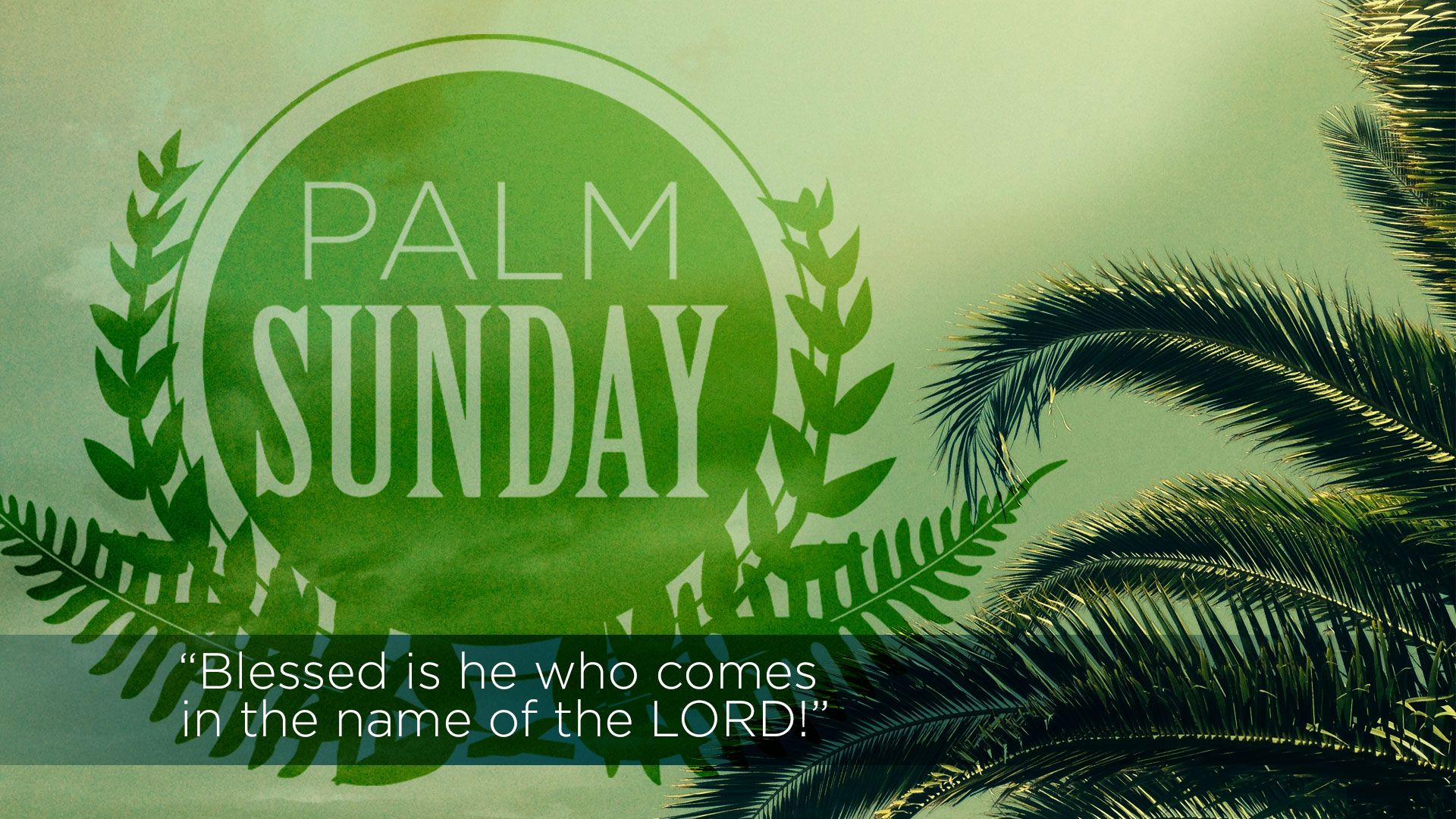 Happy Palm Sunday Image, Quotes, Wishes, Messages