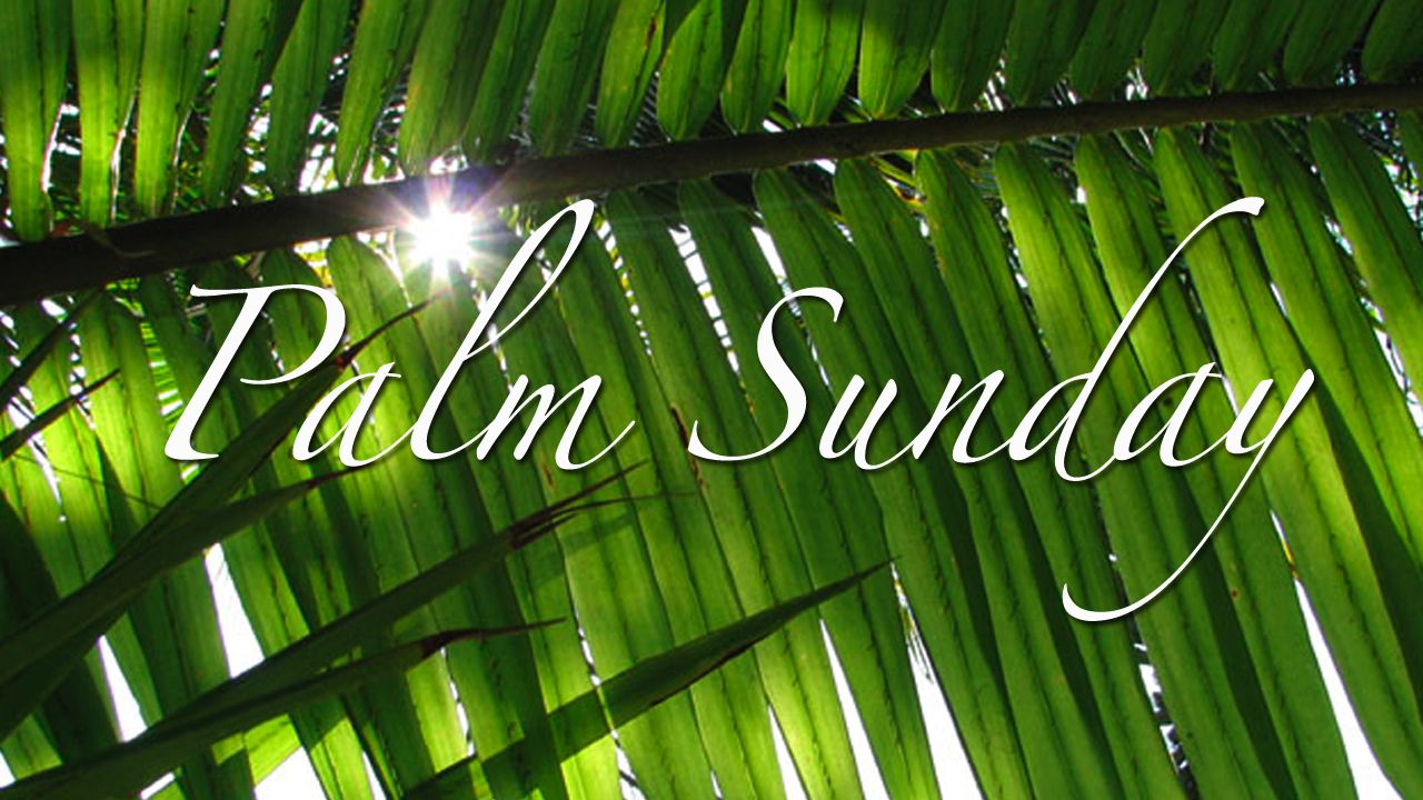 Happy Palm Sunday 2021 Whatsapp Status Dp fb Profile Cover HD Wallpaper Image