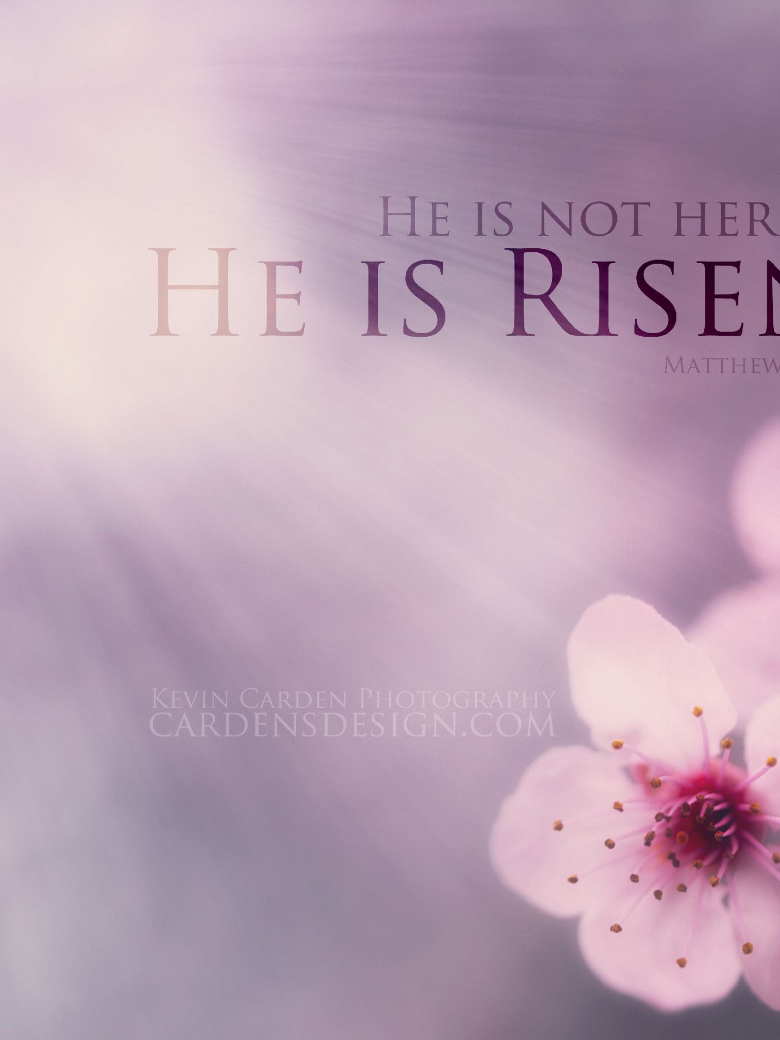 Free download He is risen beautiful wallpaper With Resolutions 36502282 Pixel [3650x2282] for your Desktop, Mobile & Tablet. Explore Religious Easter Wallpaper Image. Free Easter Wallpaper for Desktop, Happy