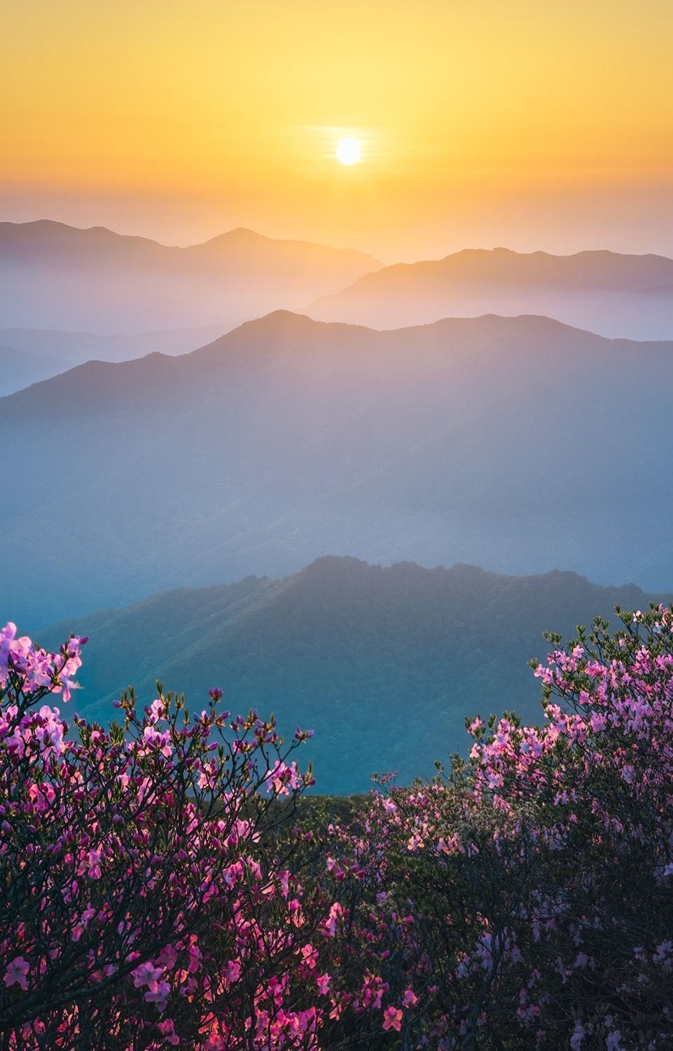 Spring Calm. Muju, South Korea By Merz #mountains #mountain #range #sunrise #naturelandscape. Cool landscapes, Beautiful landscapes, Korea wallpaper
