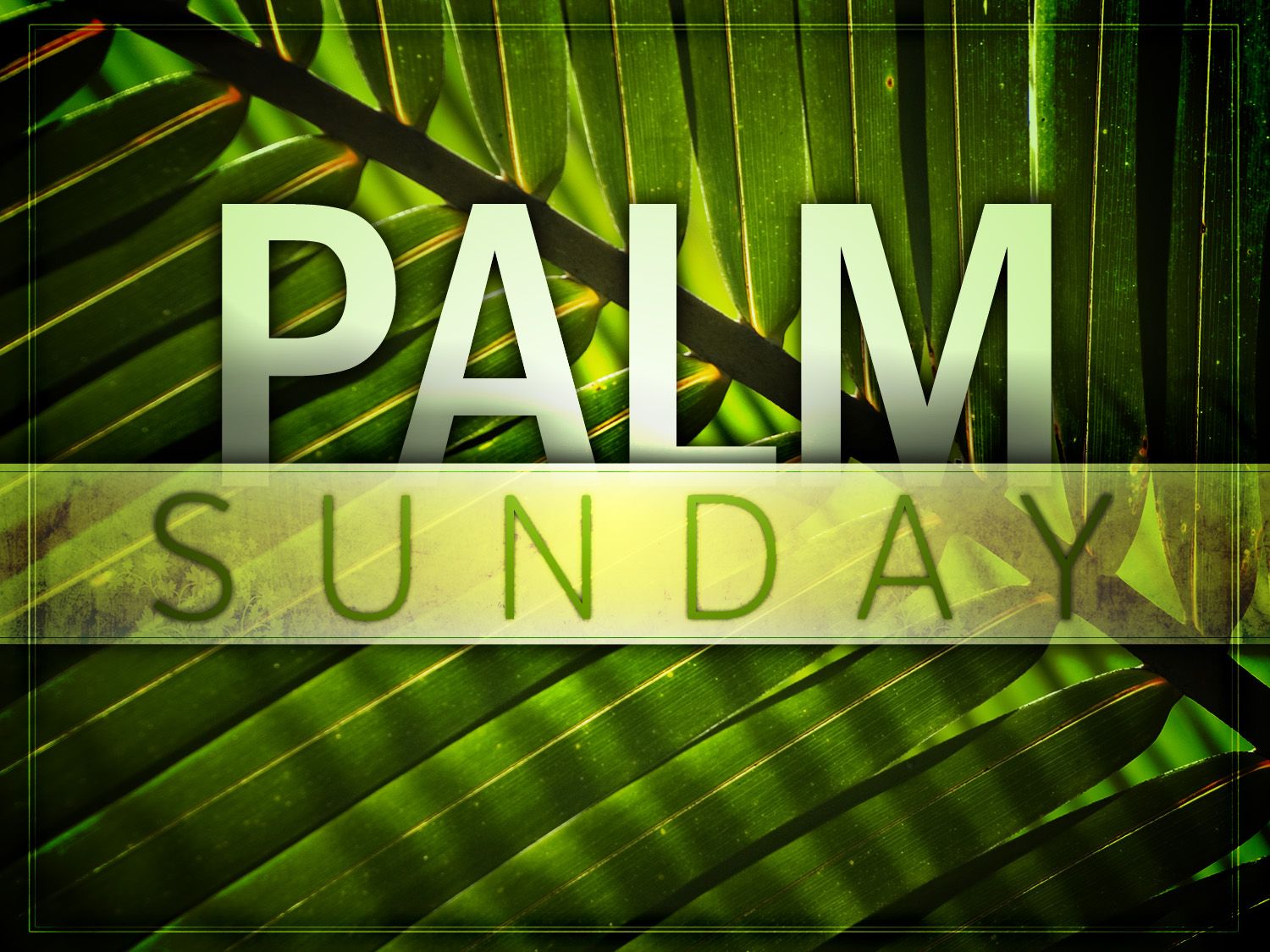 Palm Sunday Wallpaper. Happy Sunday Wallpaper, Easter Sunday Wallpaper and Blessed Sunday Wallpaper