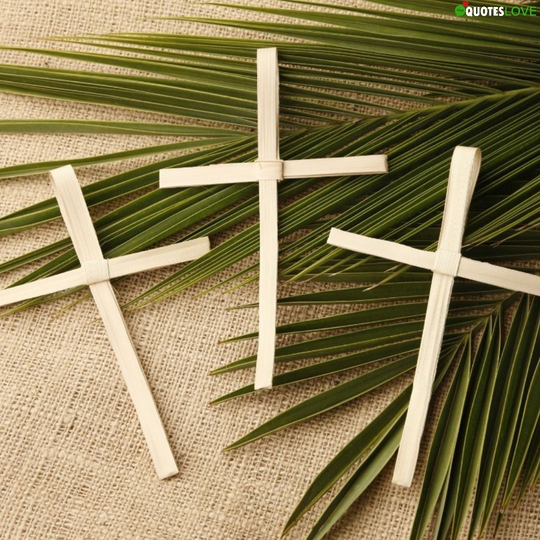 Latest) Palm Sunday 2021: Image, Photo, Posters, Wallpaper, Picture