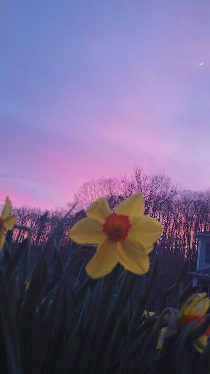 Image about grunge in w a l l p a p e r