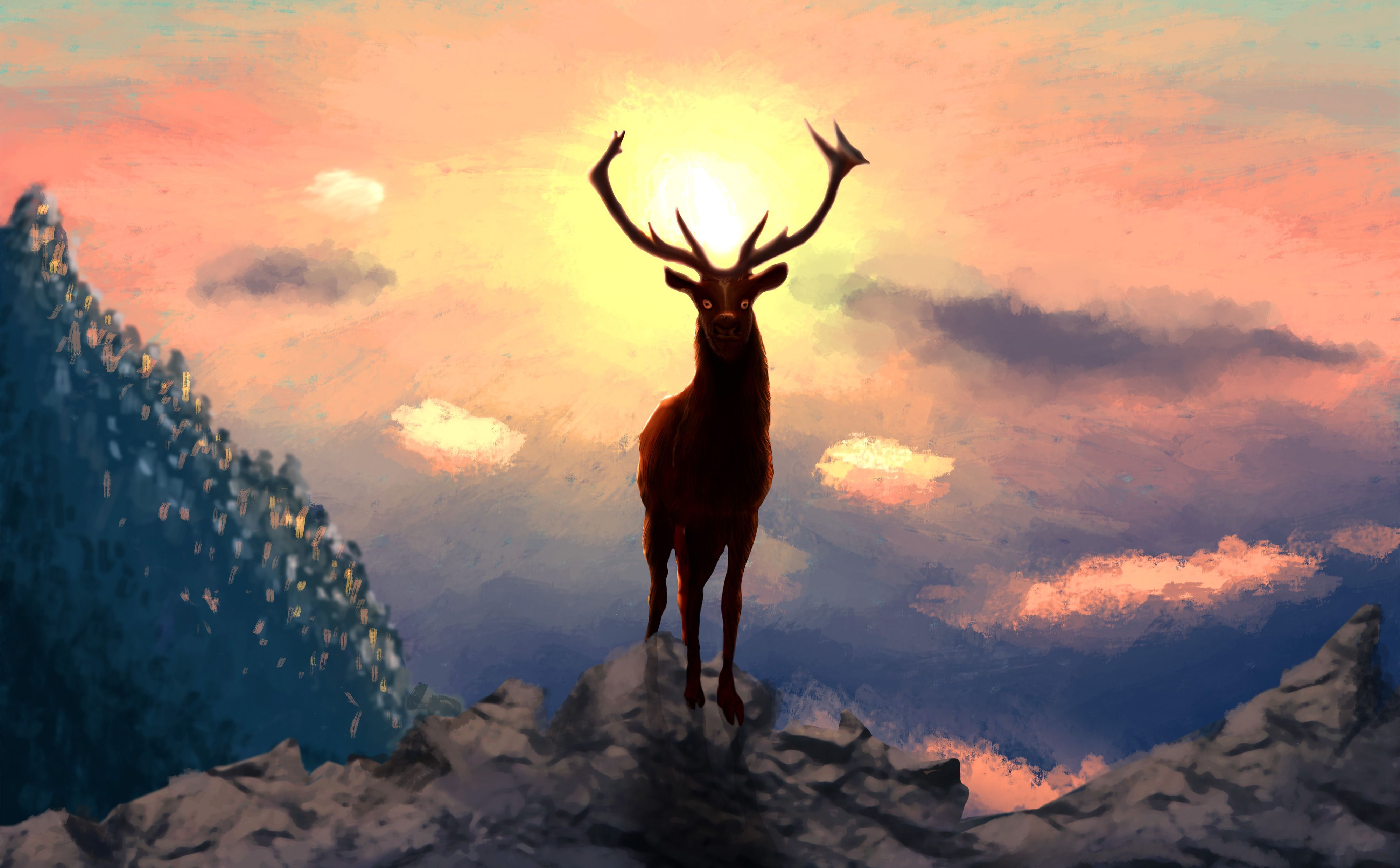 Deer 4K Wallpaper Free Deer 4K Background