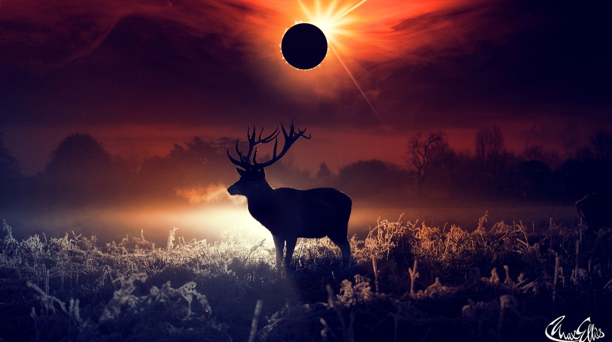 Deer Fantasy Art, HD Artist, 4k Wallpaper, Image, Background, Photo and Picture