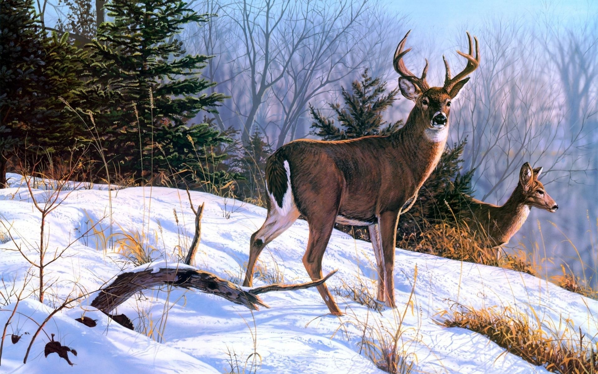 deer, Art, Nature, Paintings, Winter Wallpaper HD / Desktop and Mobile Background
