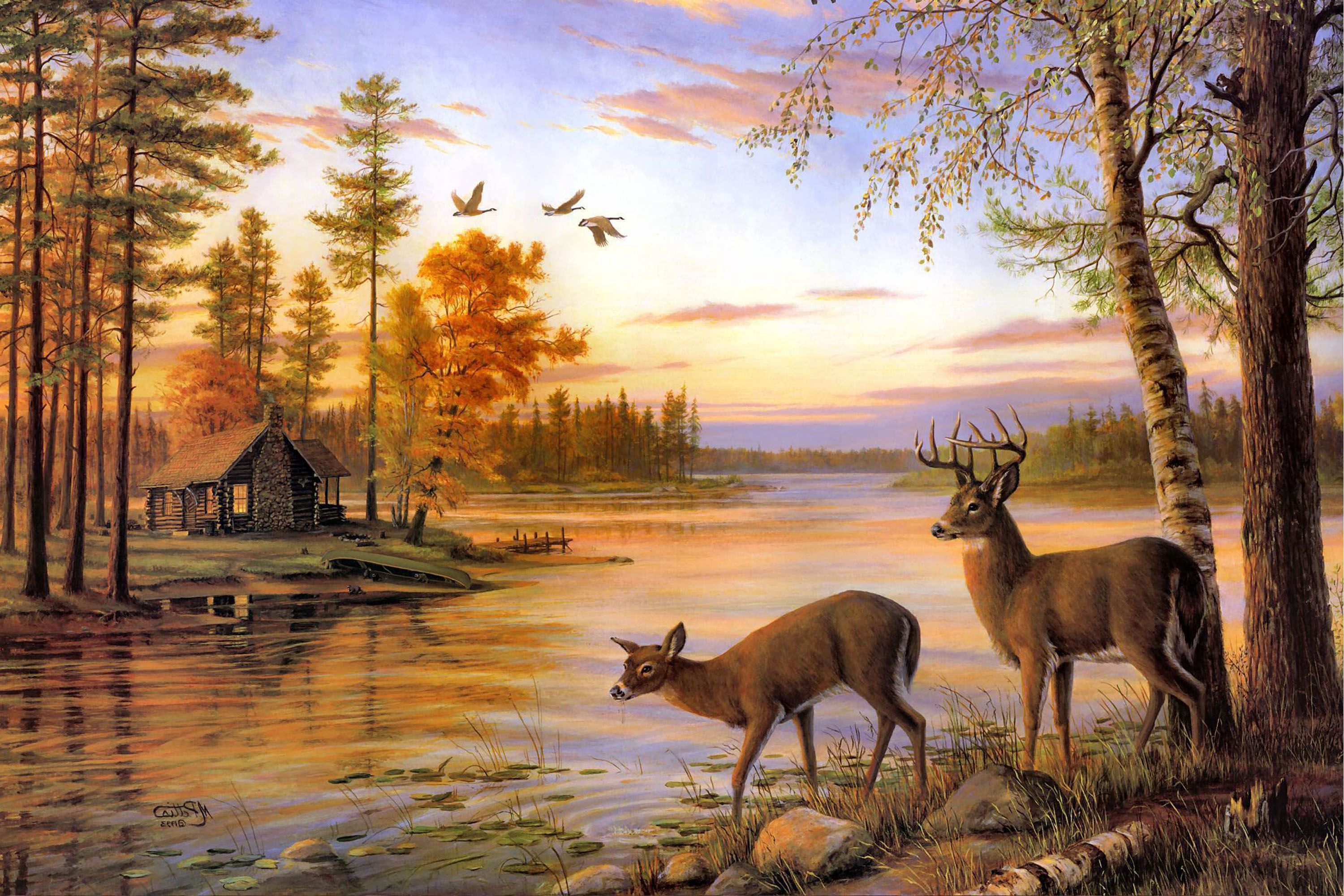 Two Deer Drink Water On The River When Sunset. Deer painting, Deer wallpaper, Deer picture