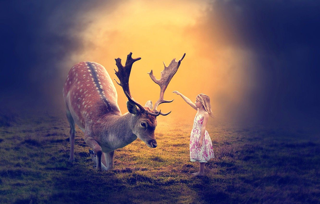 Wallpaper deer, art, girl image for desktop, section рендеринг