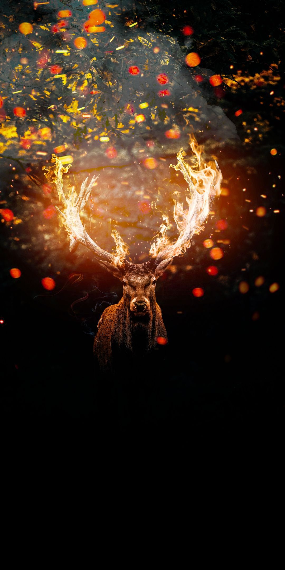 Deer, horns on fire, muzzle, art, 1080x2160 wallpaper. Animal wallpaper, Art, Deer art