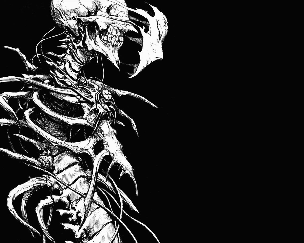 Skeleton Wallpaper