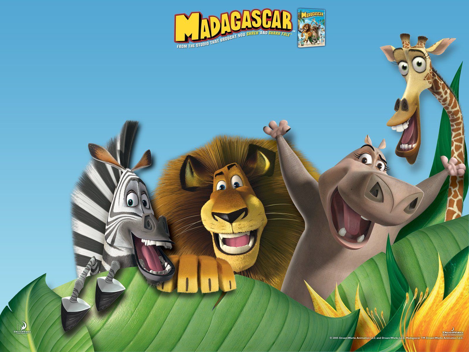 Madagascar PowerPoint Background. Penguins Madagascar Wallpaper, Madagascar Escape 2 Africa Wallpaper and Hippo Madagascar Wallpaper