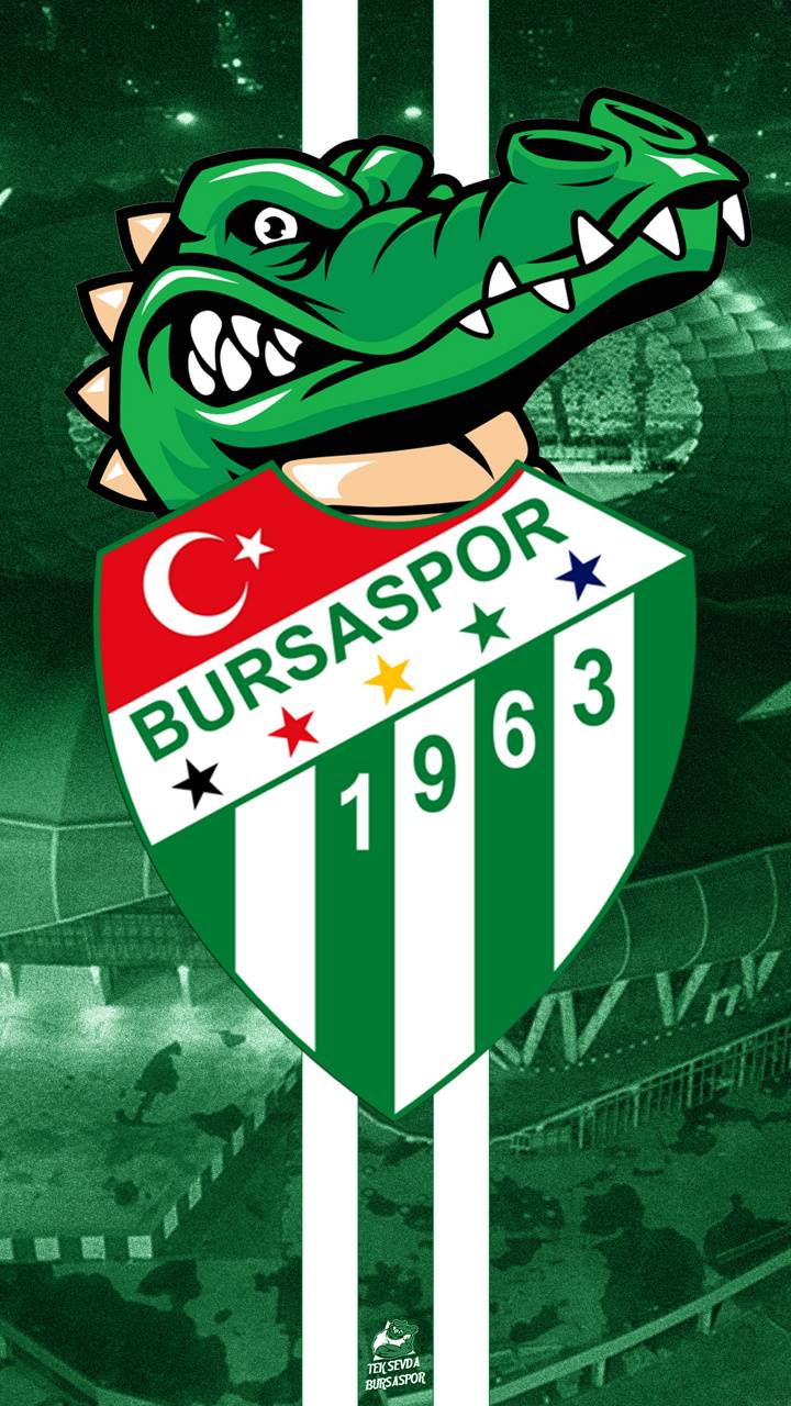 Bursaspor Wallpaper wallpaper