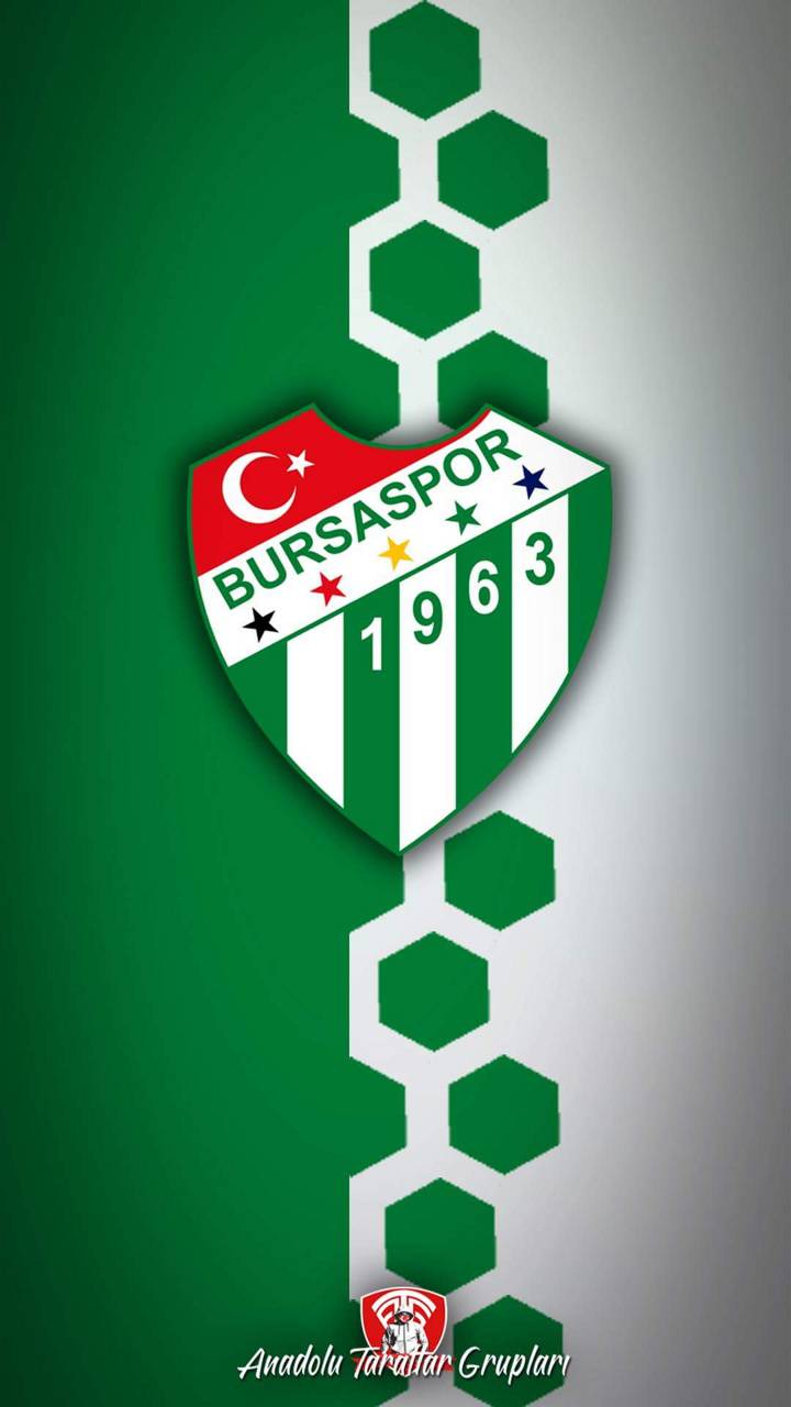 Bursaspor wallpaper