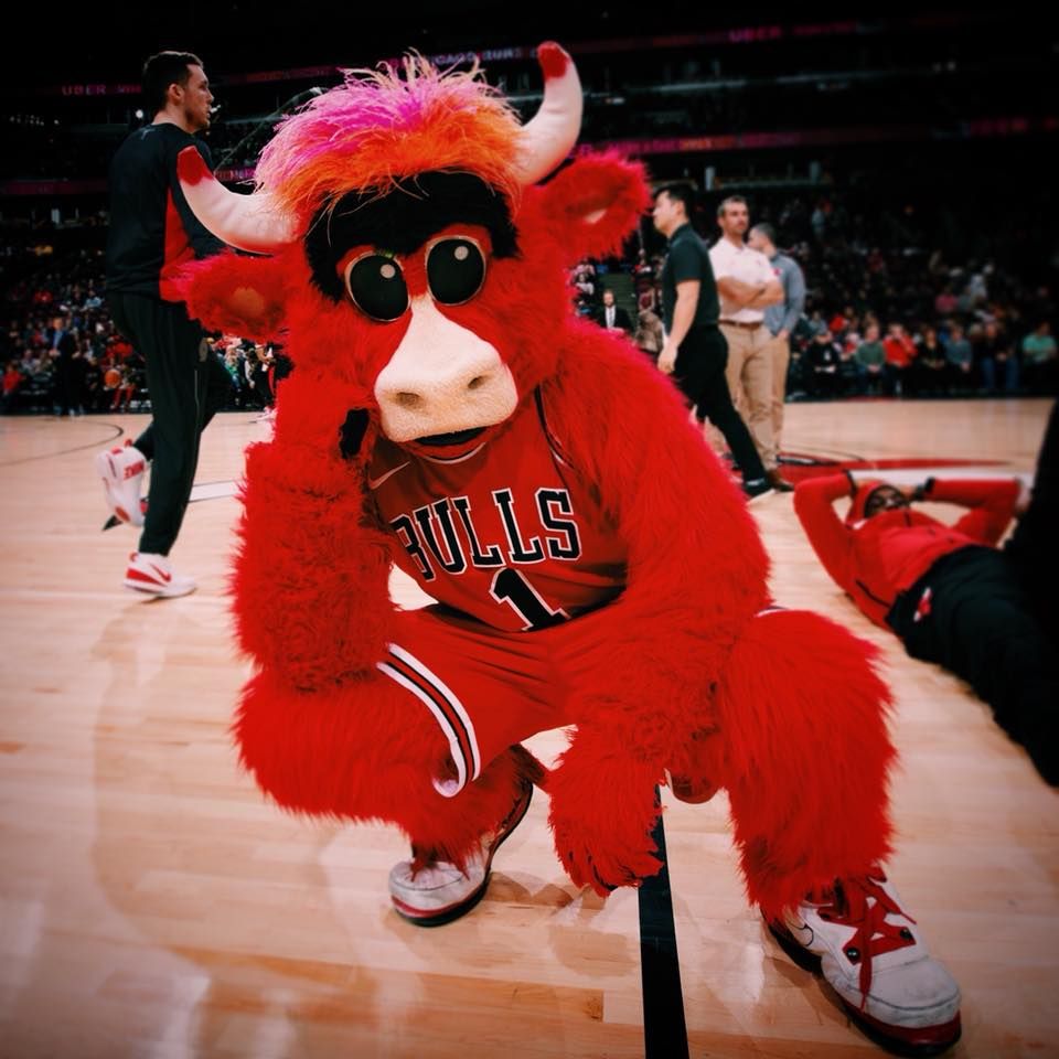Chicago Bulls. The Official Site of the Chicago Bulls. Benny the bull, Chicago bulls, Bulls wallpaper