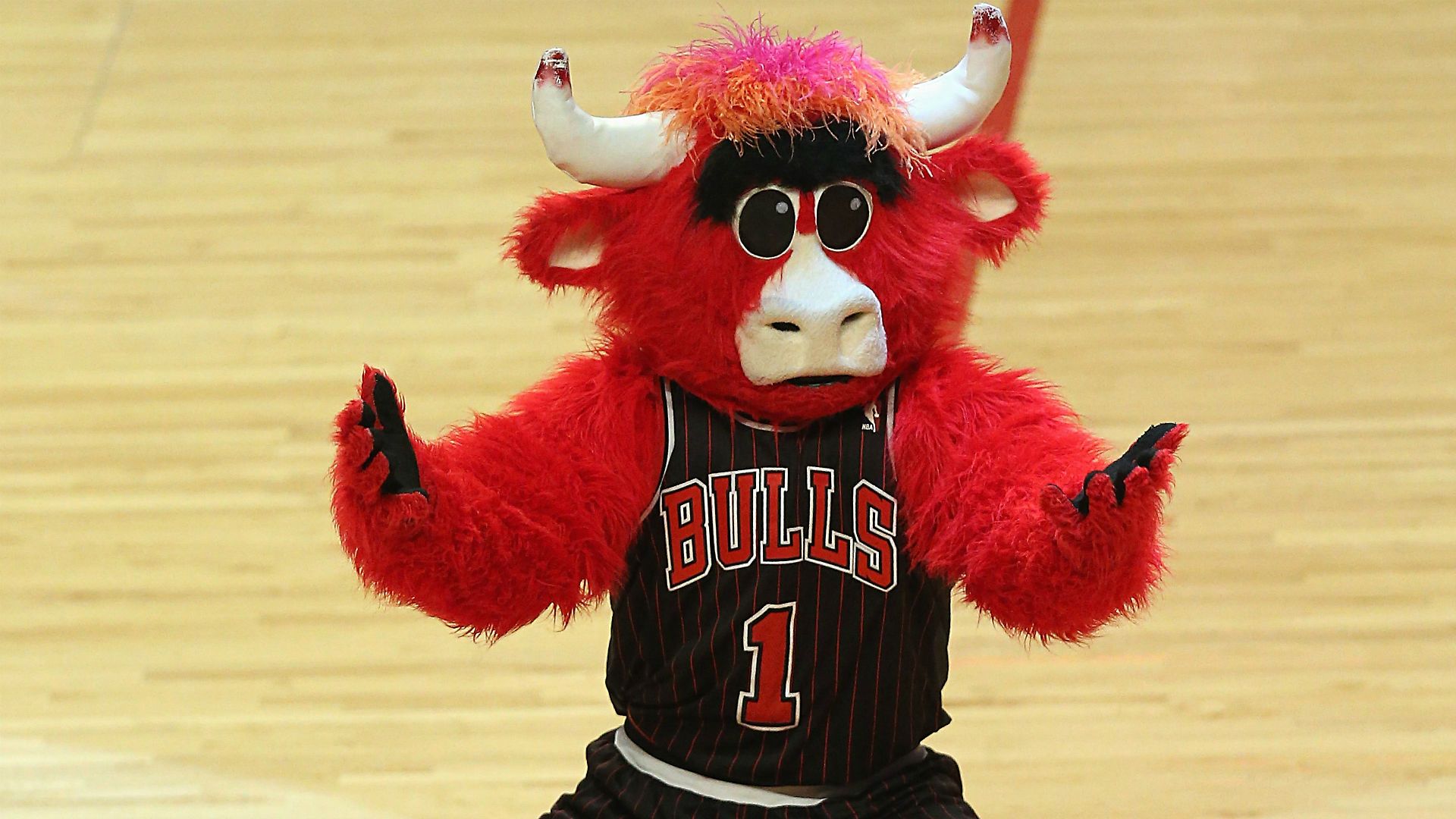Benny the Bull, Chicago's most beloved mascot, needs a new human