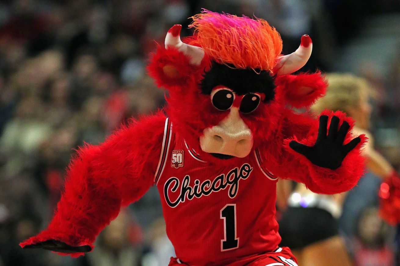 Even Benny the Bull knows when to quit! a Bull