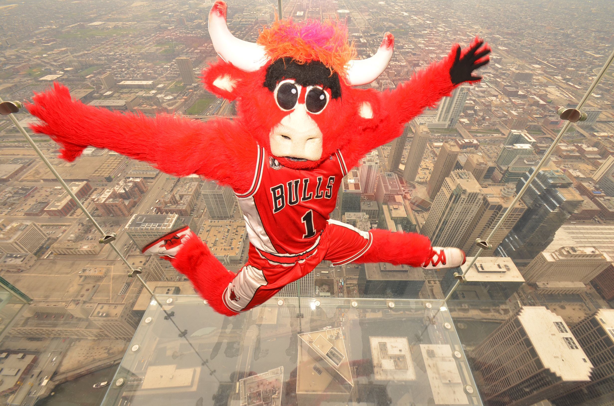 Benny the Bull on The Ledge!. Benny the bull, Chicago bulls, Mascot
