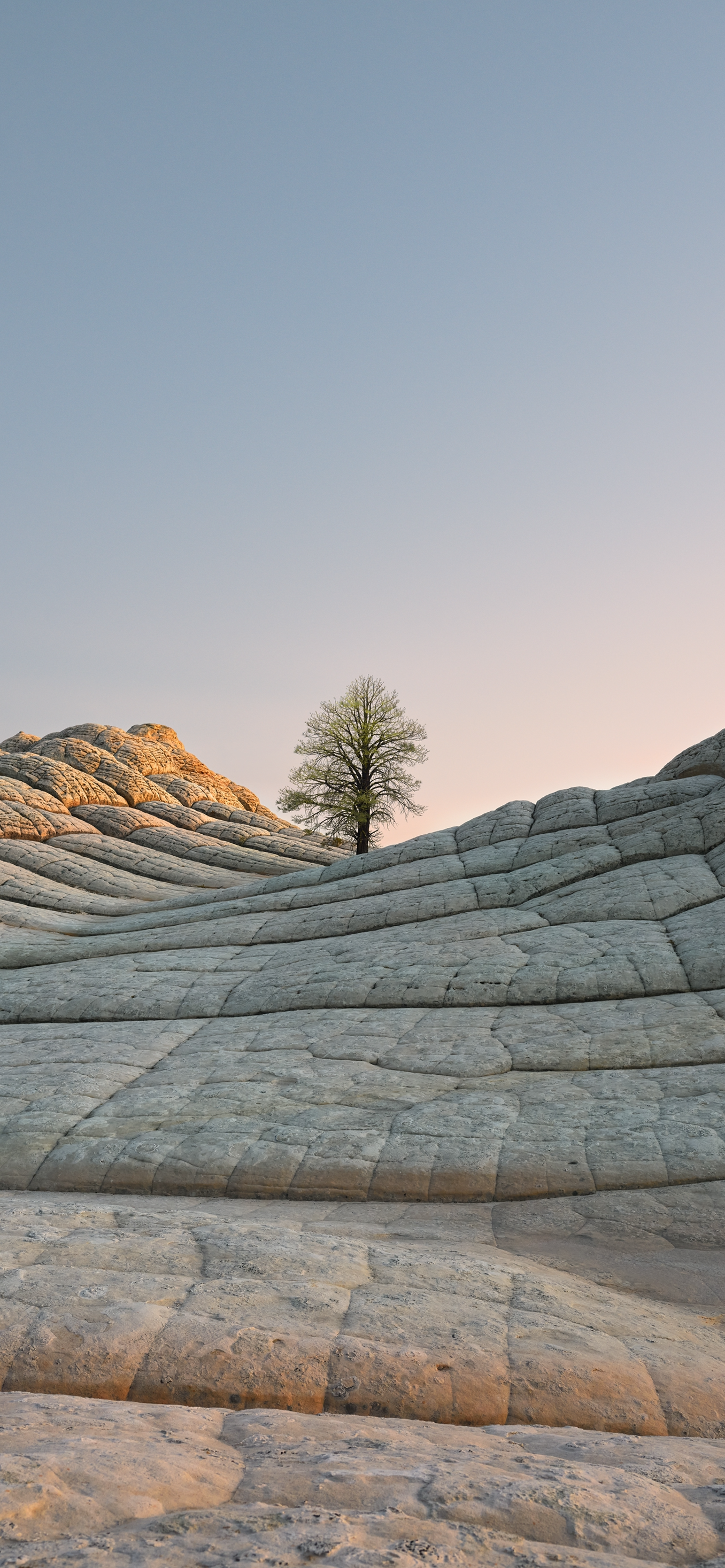 iPhone 12 Pro Max Wallpaper. Nature