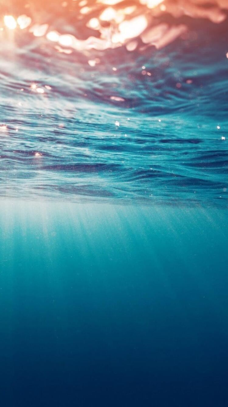 Underwater Wallpaper 4k iPhone