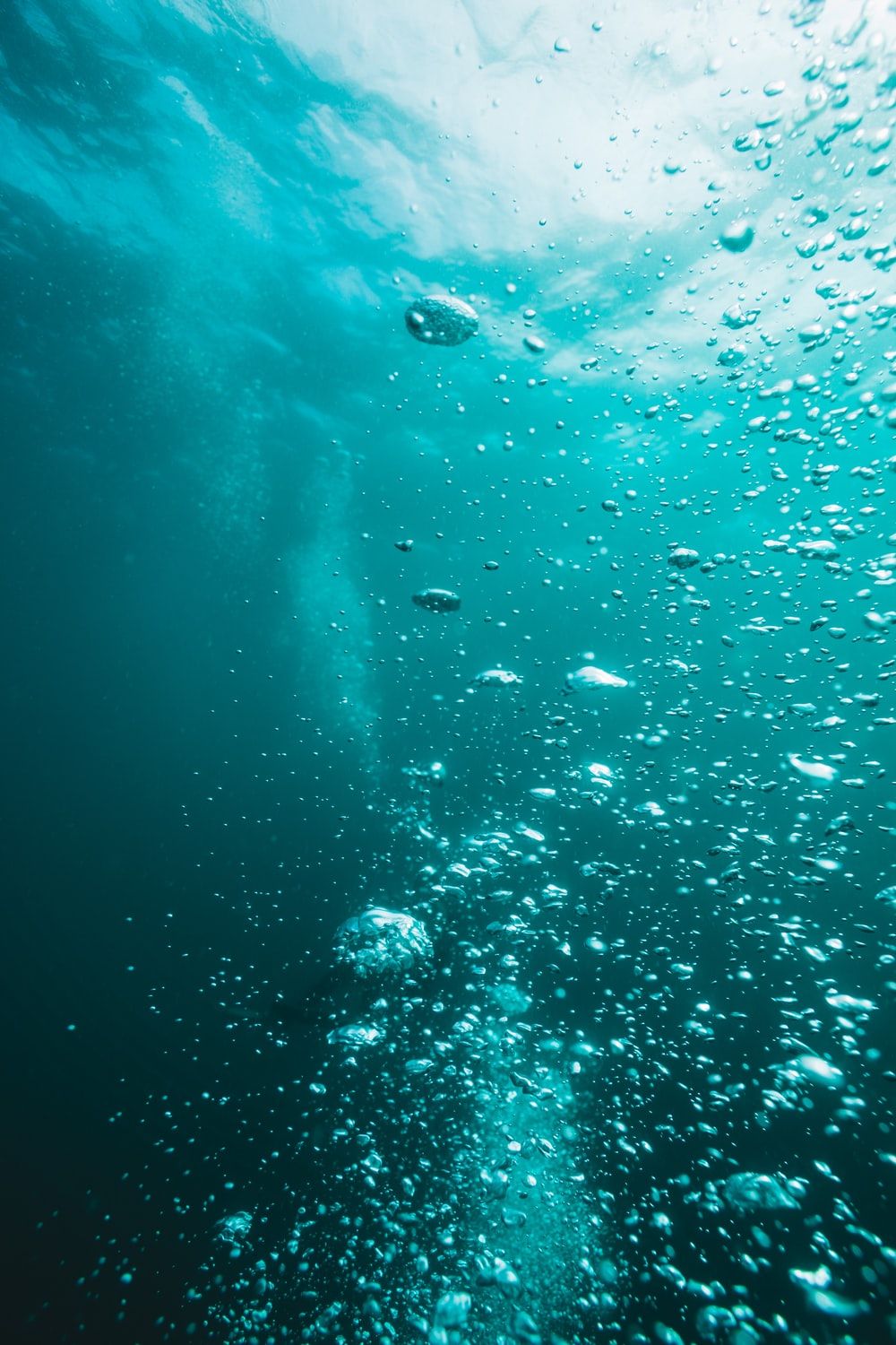 Underwater Image. Download Free Image