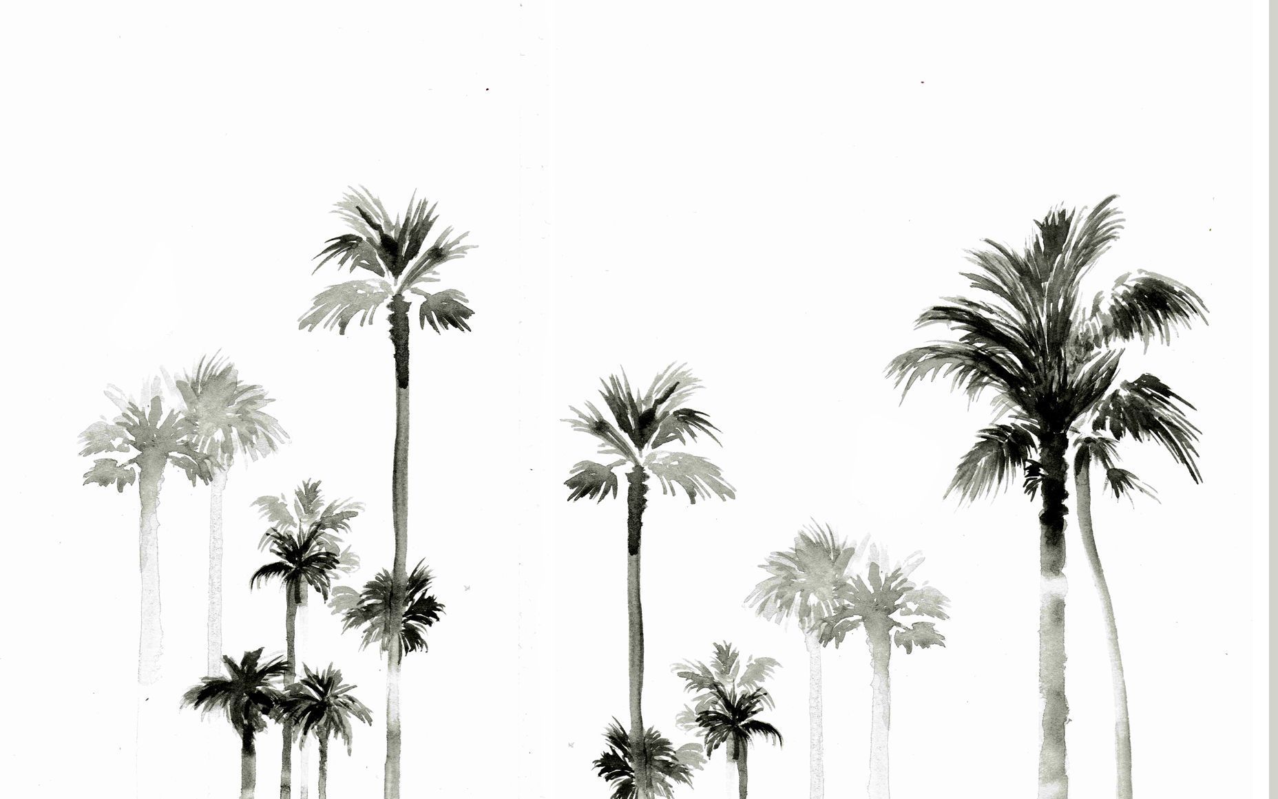 designlovefest palmiers fond d'écran l'été. Desktop wallpaper summer, Palm trees wallpaper, Computer wallpaper desktop wallpaper