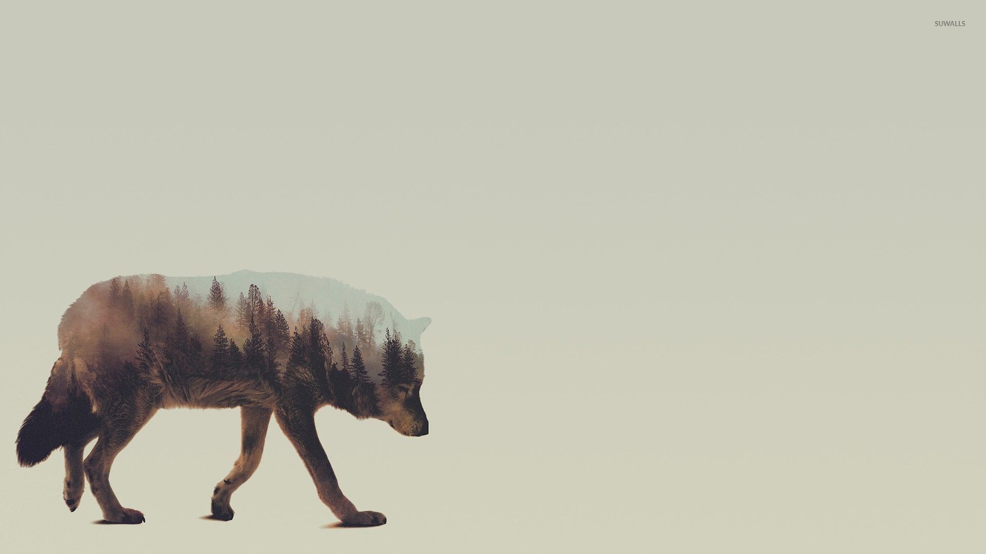 Wolf Wallpaper 1920X1080 background picture