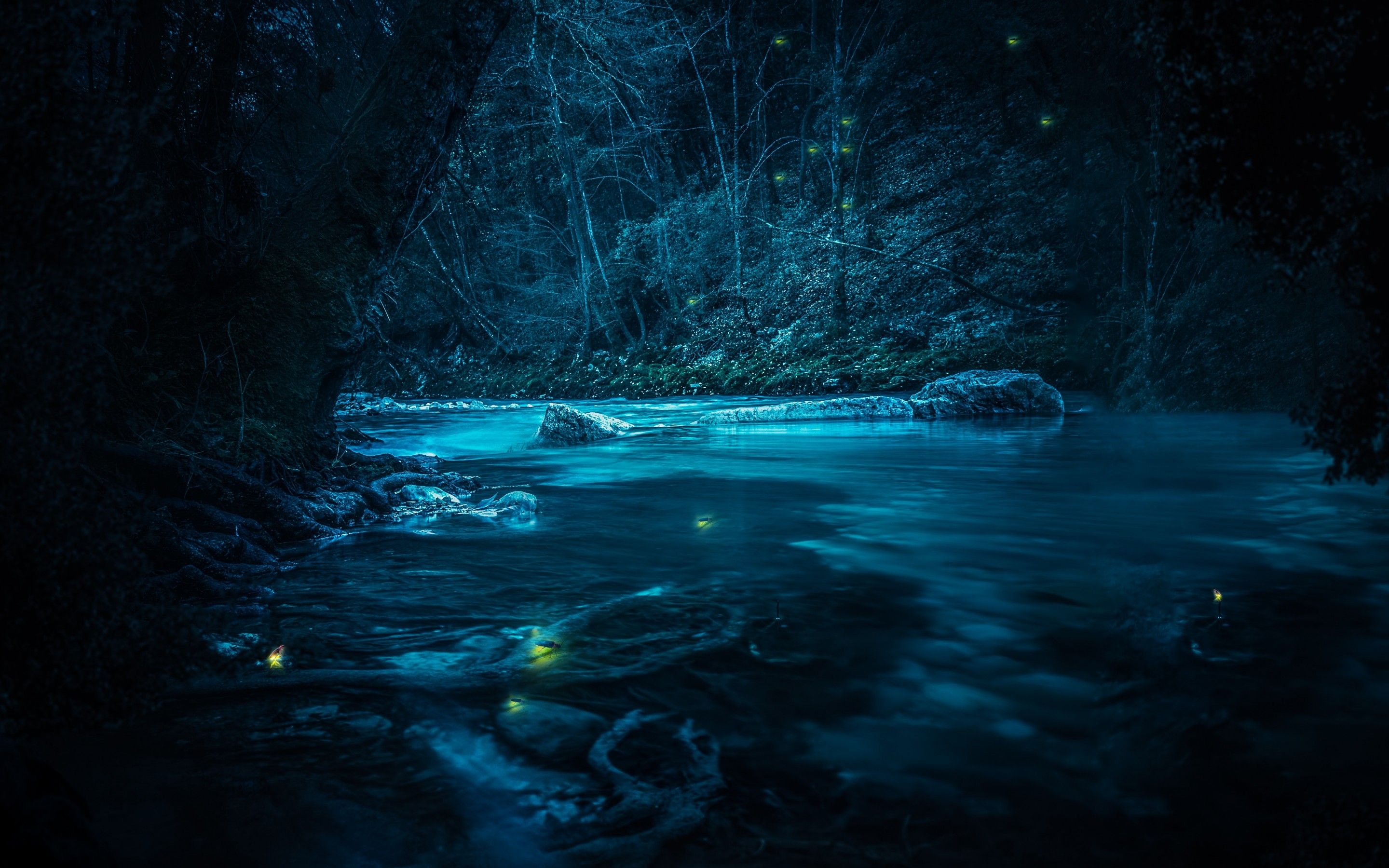 Forest 4K Wallpaper, River, Night, Dark, Magical, Crescent Moon, Blue, Fairies, Nature