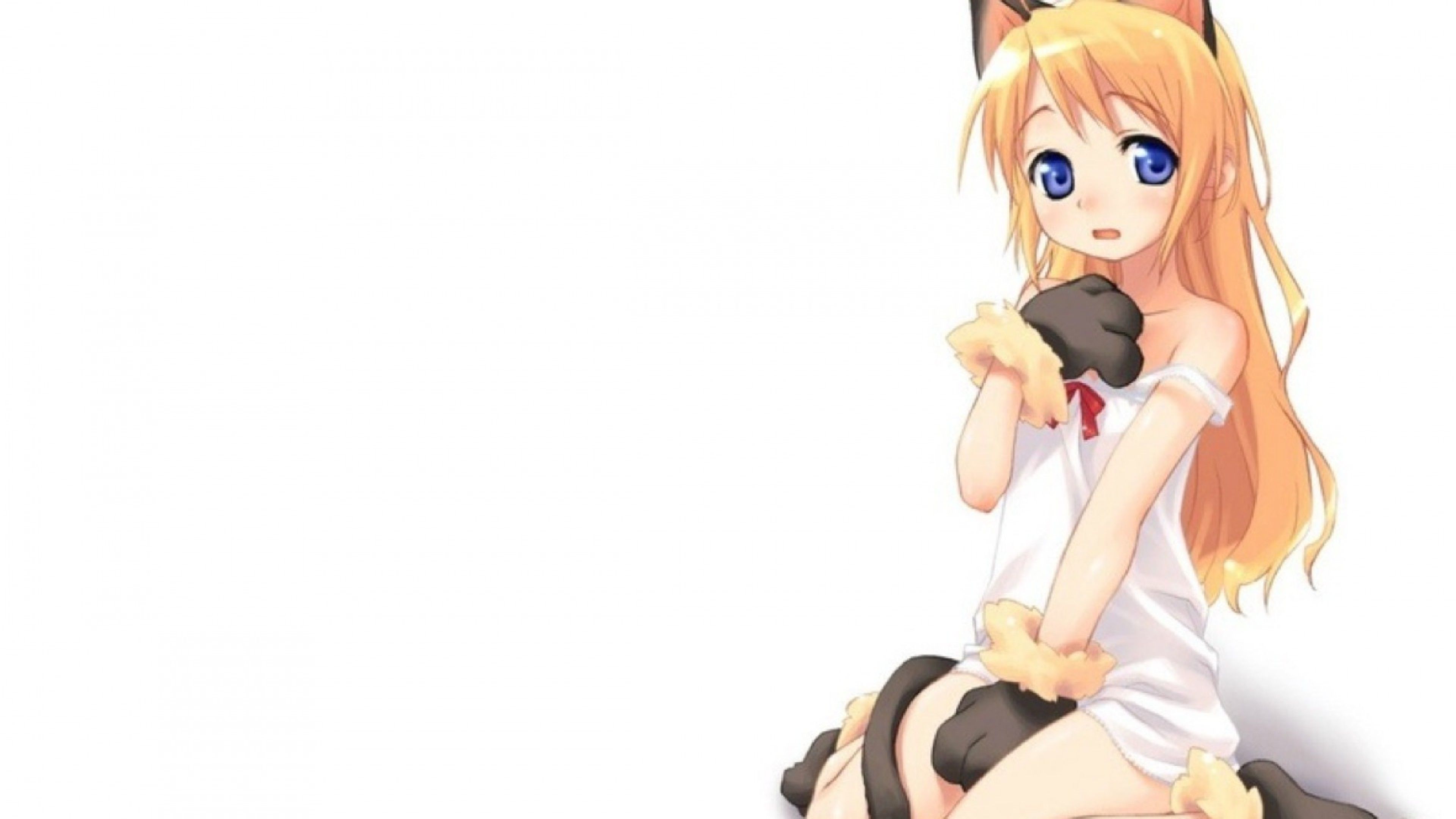 Cat Anime Girl HD Wallpaper 4K Ultra HD