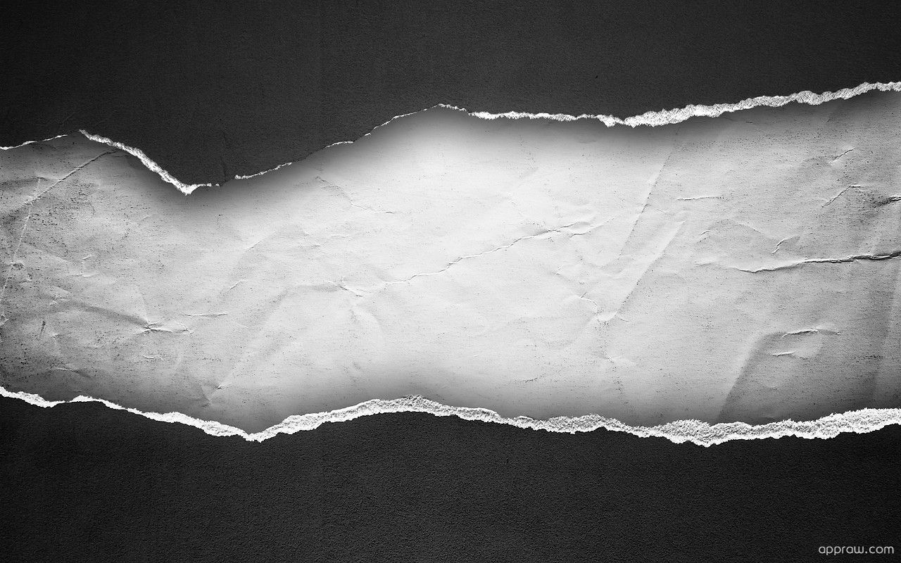 HD wallpaper paper torn tear leaf copy space closeup white color   Wallpaper Flare