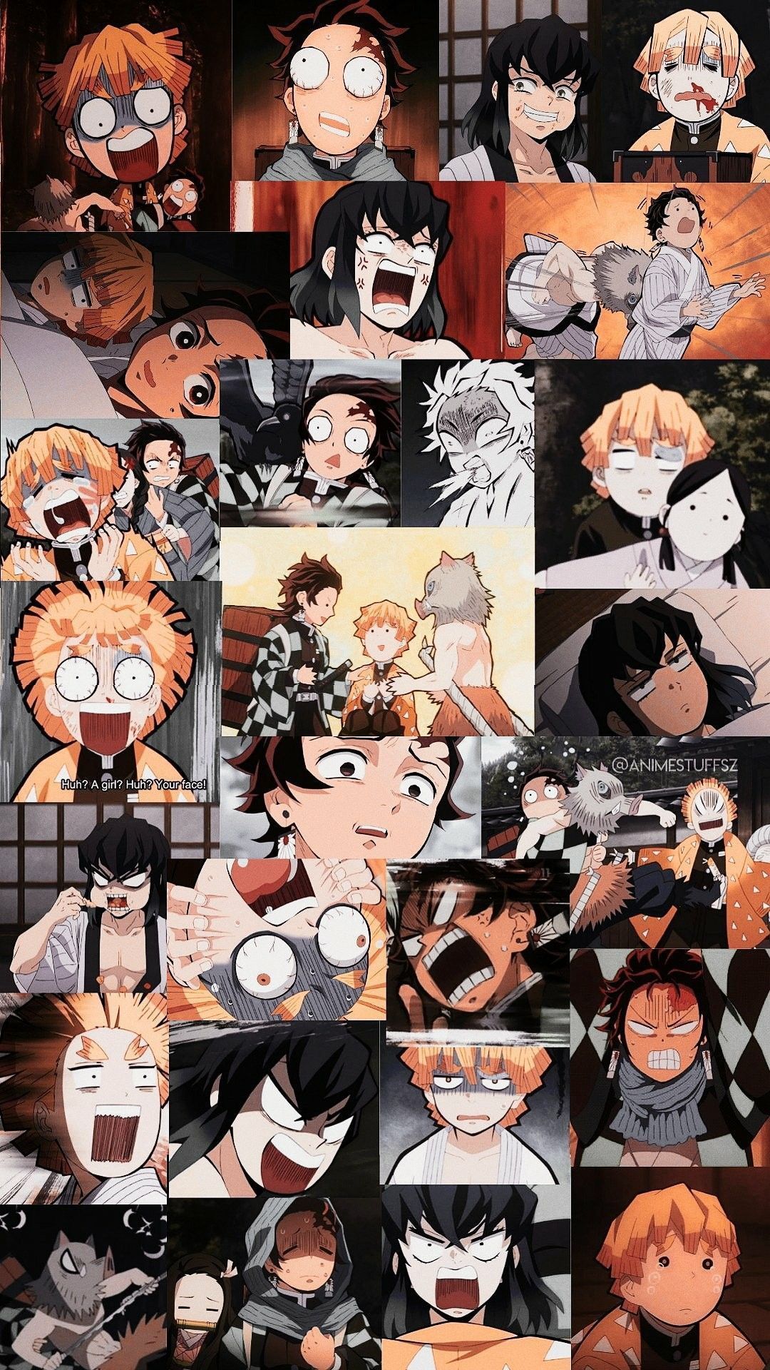 Demon Slayer Inosuke Aesthetic