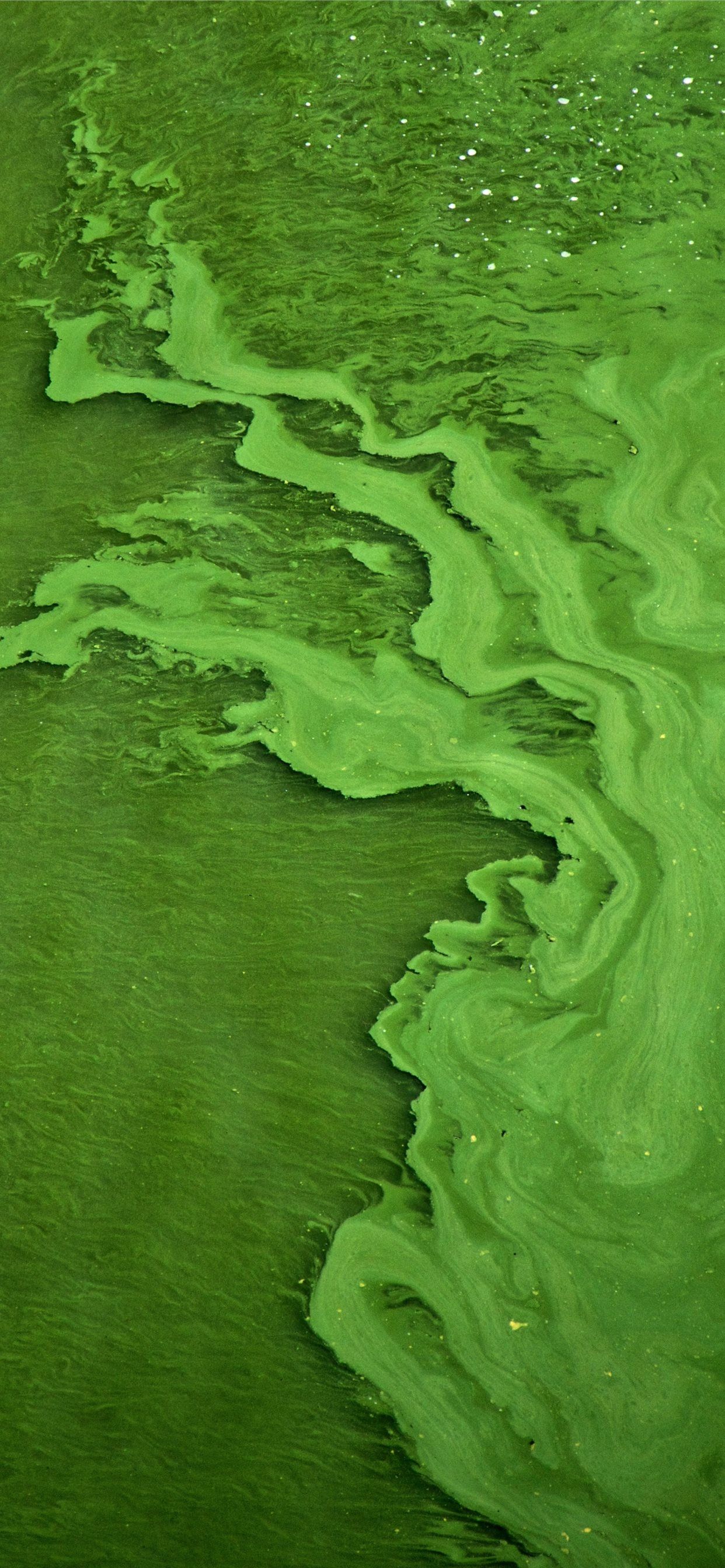 green color water iPhone X Wallpaper Free Download