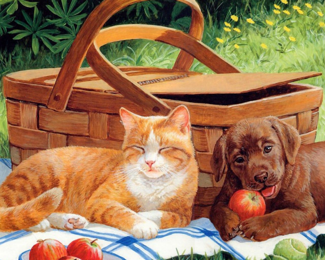 Summer Cats And Dogs