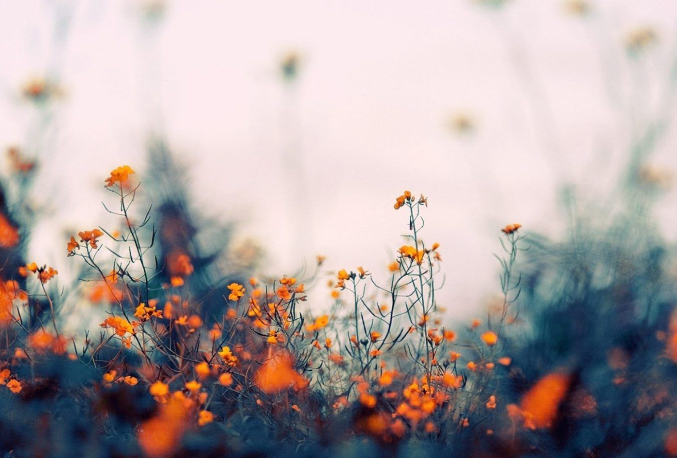 Good Reads: Positive Mind Positive Life. thesocialbeing721. Desktop wallpaper macbook, Computer wallpaper desktop wallpaper, Laptop wallpaper desktop wallpaper