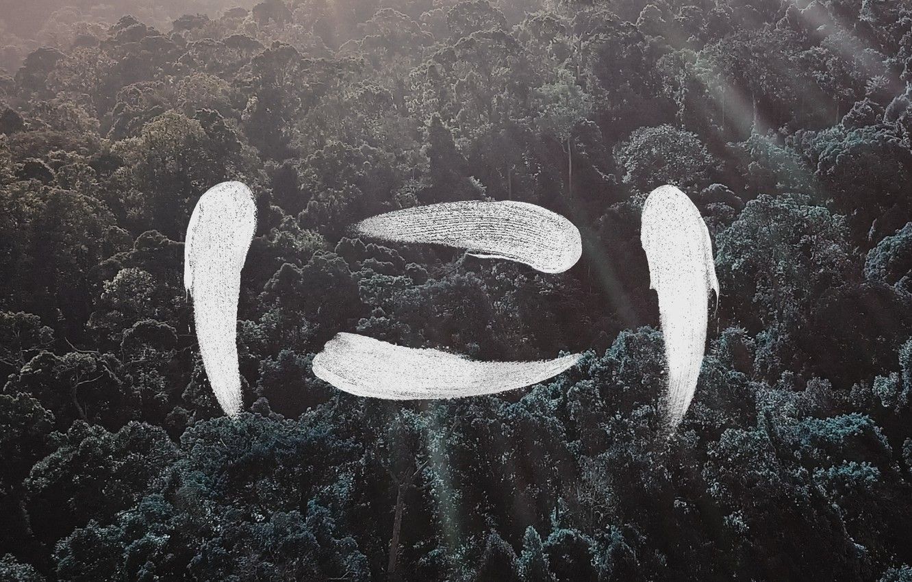 Wallpaper Music, Cover, Monstercat, SLUMBERJACK, Sarawak EP image for desktop, section музыка