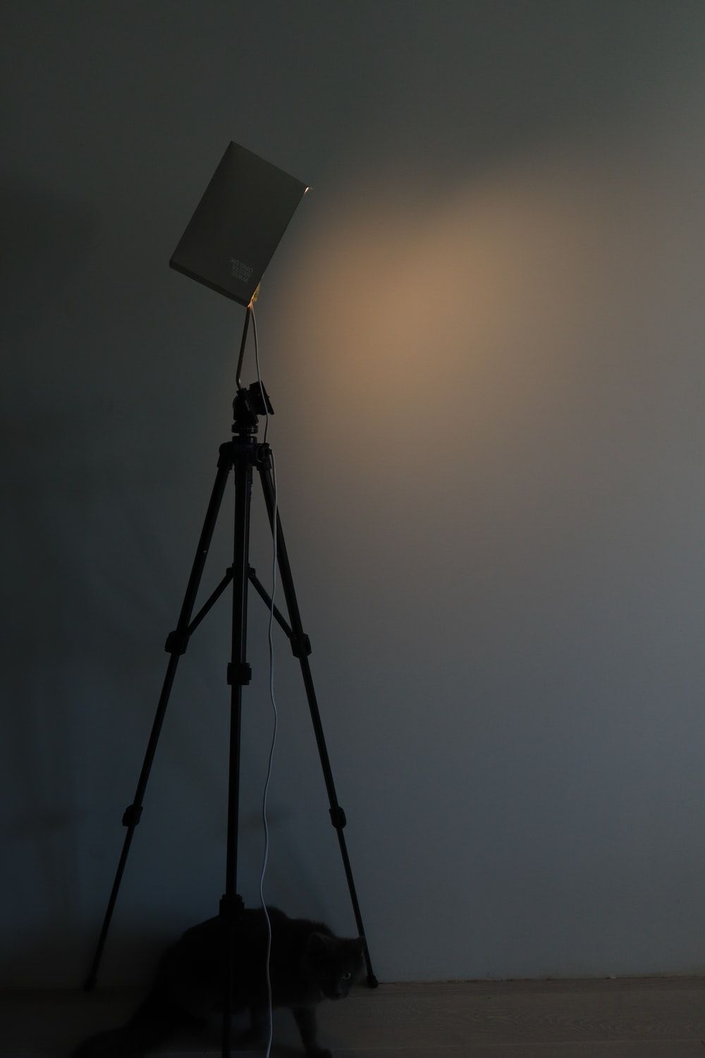 Premium Photo | Professional camera on a tripod, on a blue background.  record videos and photos for your blog or report.