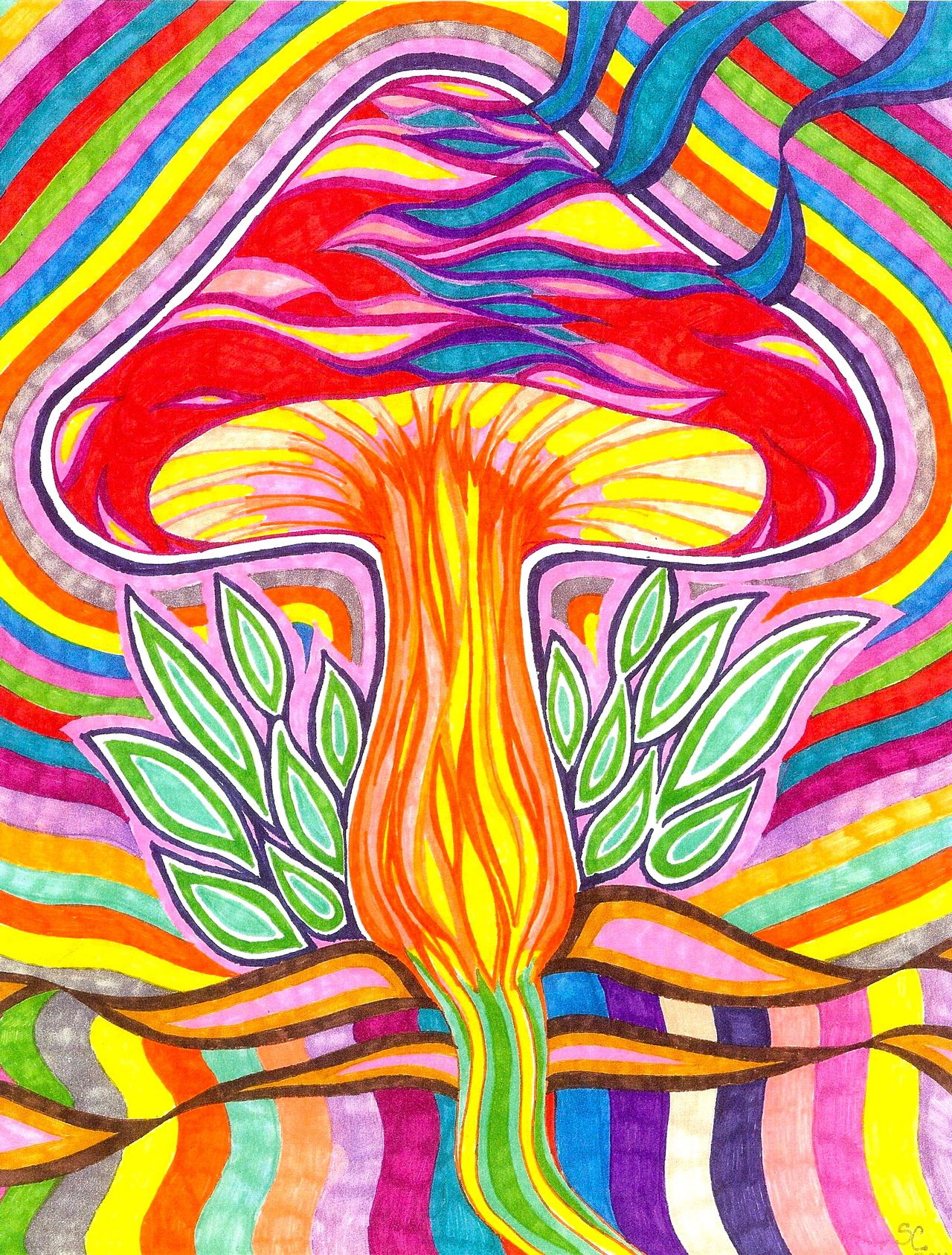 Magic Mushrooms iPhone Wallpapers - Wallpaper Cave