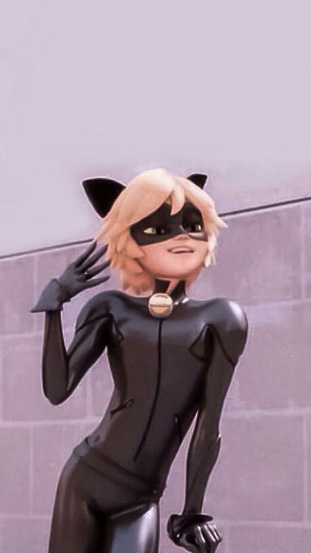 Cat Noir Wallpaper Aesthetic