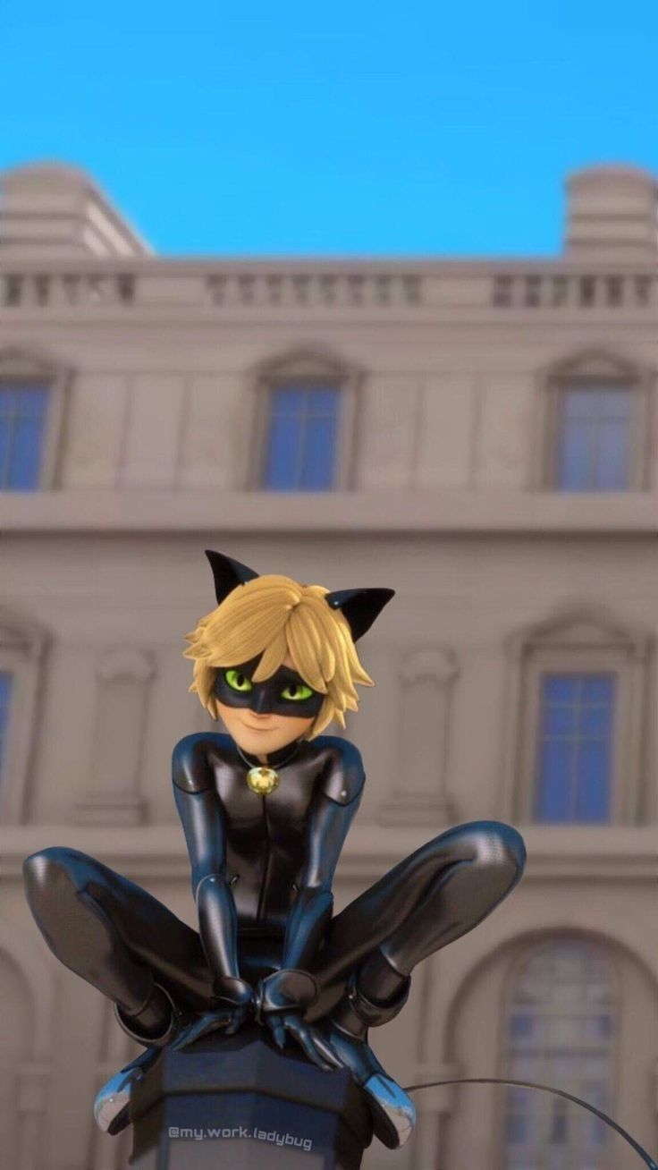 Aesthetic Ladybug Miraculous Cat Noir Wallpapers - Wallpaper Cave