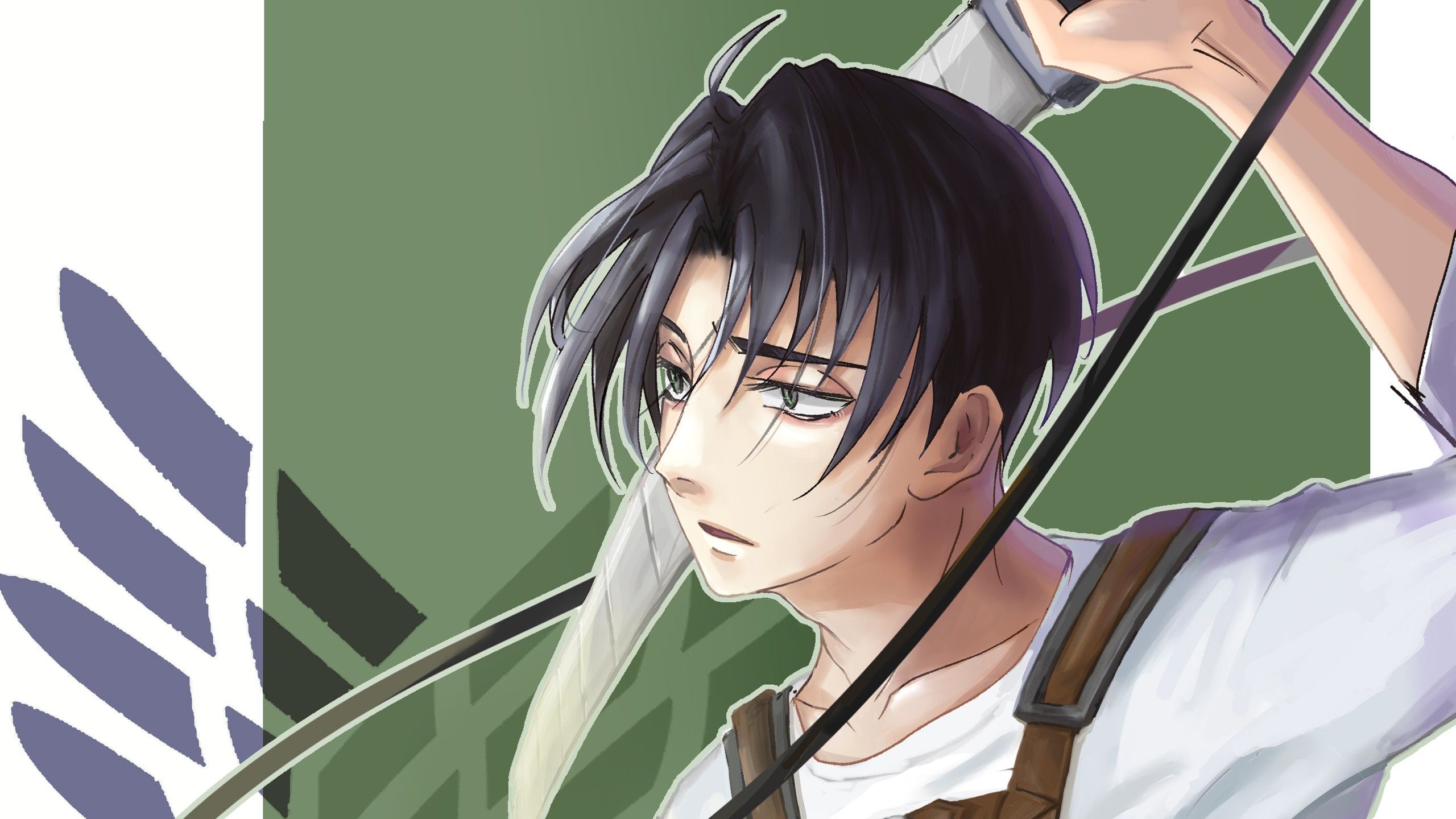 Attack On Titan Levi Ackerman With Sword With Green Background HD Anime Wallpaper