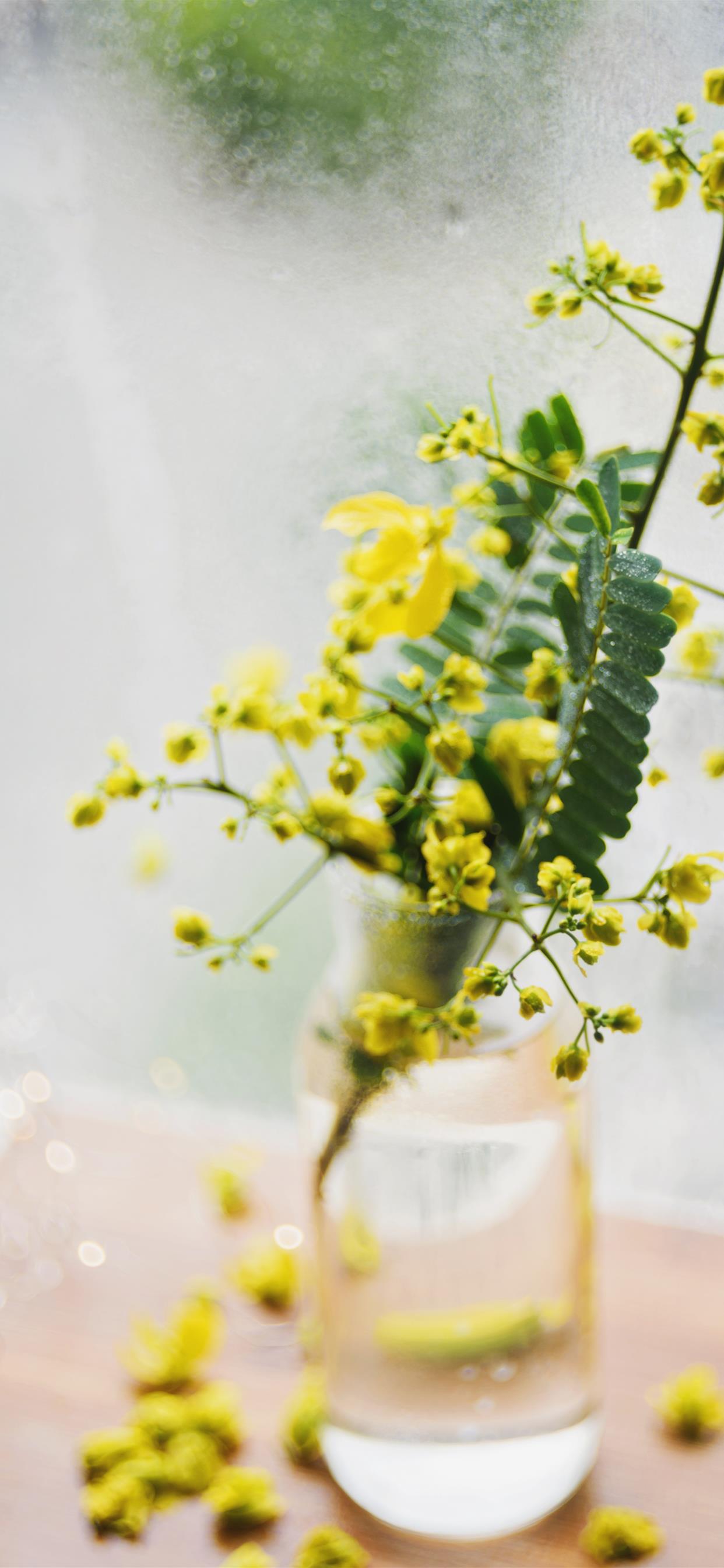 Vase With Flowers Wallpapers - Wallpaper Cave