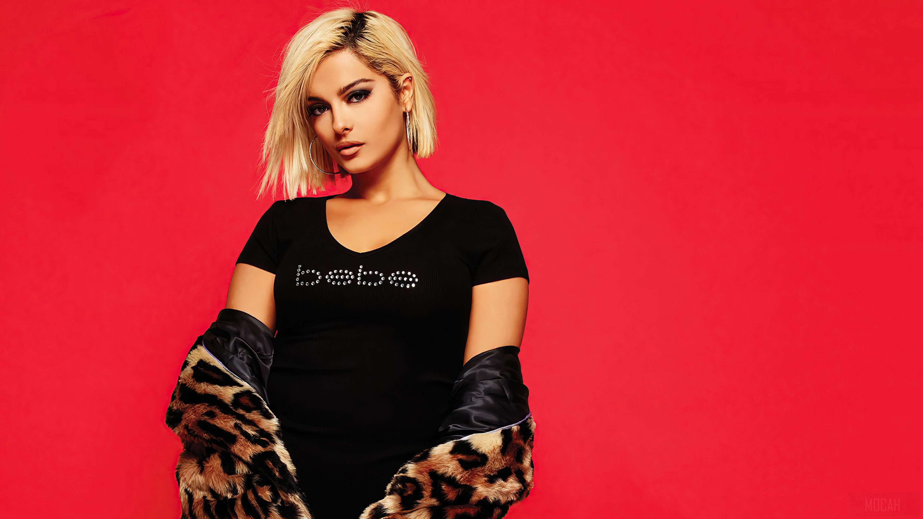 Bebe Rexha HD wallpaper, Background