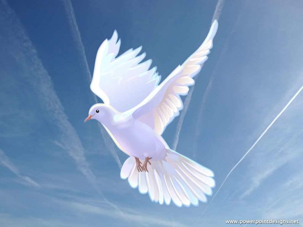 Religious Dove Background 3. The Art Mad
