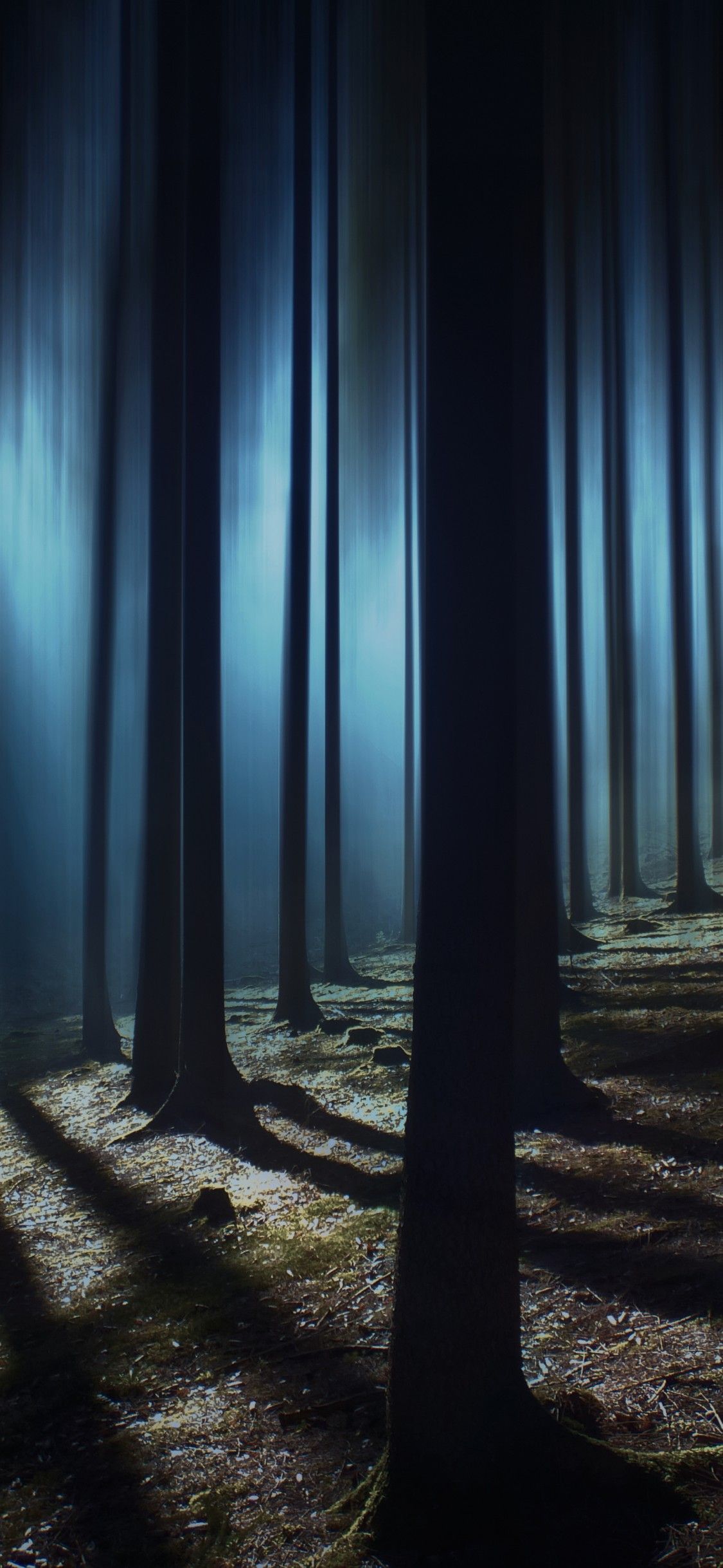 Dark Forest Wallpaper 4K, Woods, Night time, Dark, Nature