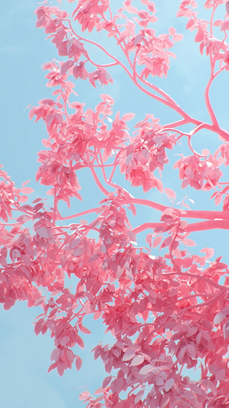 iPhone7 wallpaper. tree pink spring digital art illustration