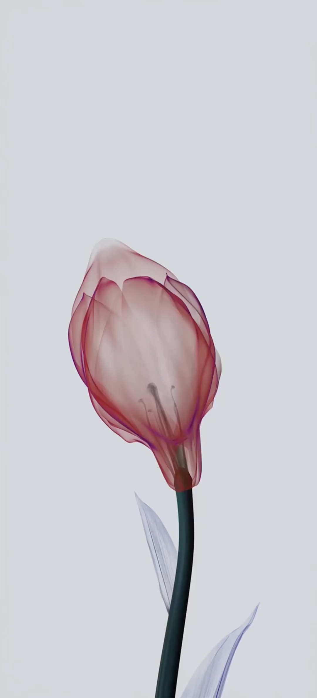 OriginOS Wallpaper. Stock wallpaper, Wallpaper, Os wallpaper