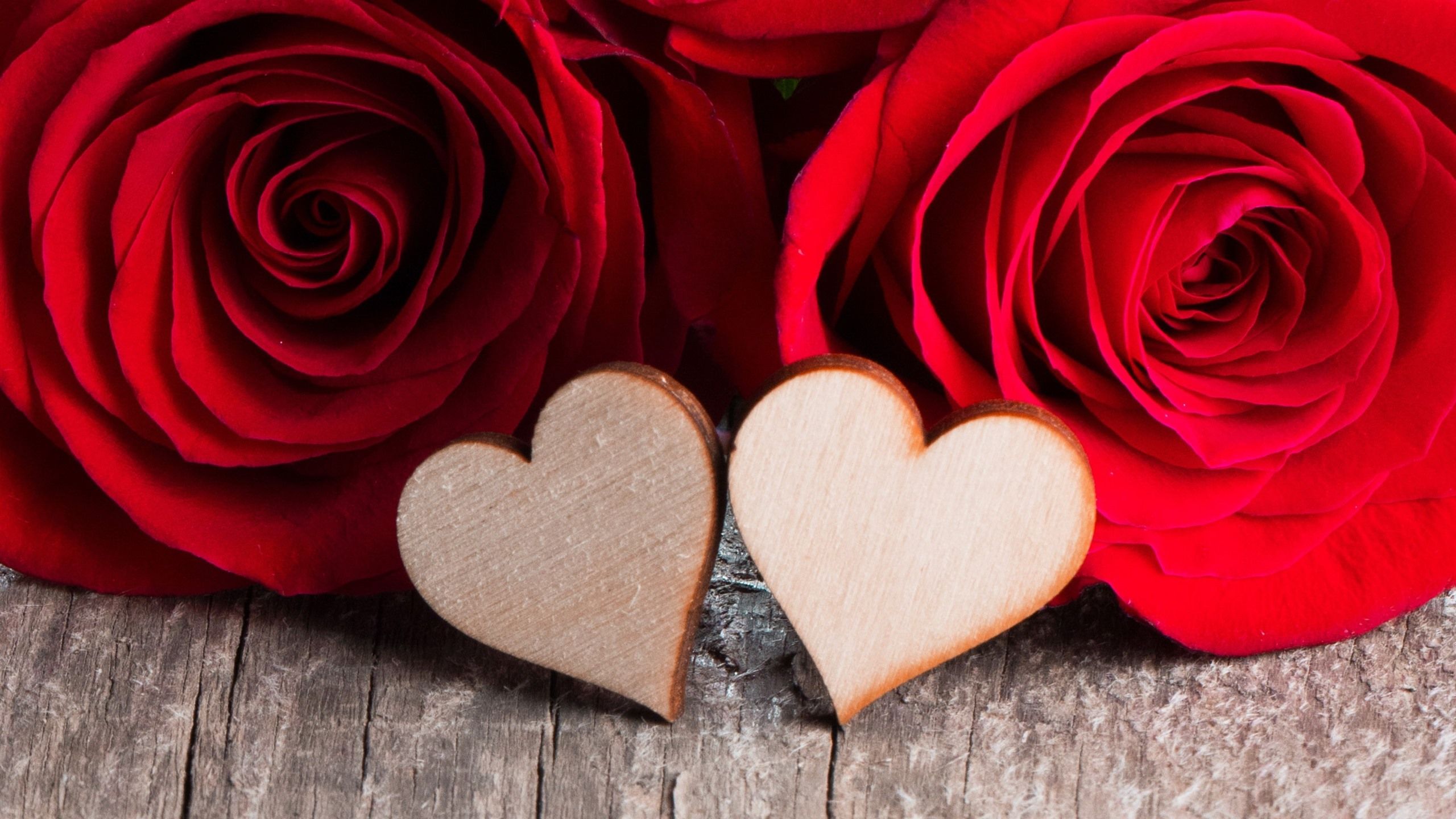 Wallpaper Two love hearts, red roses 2560x1600 HD Picture, Image
