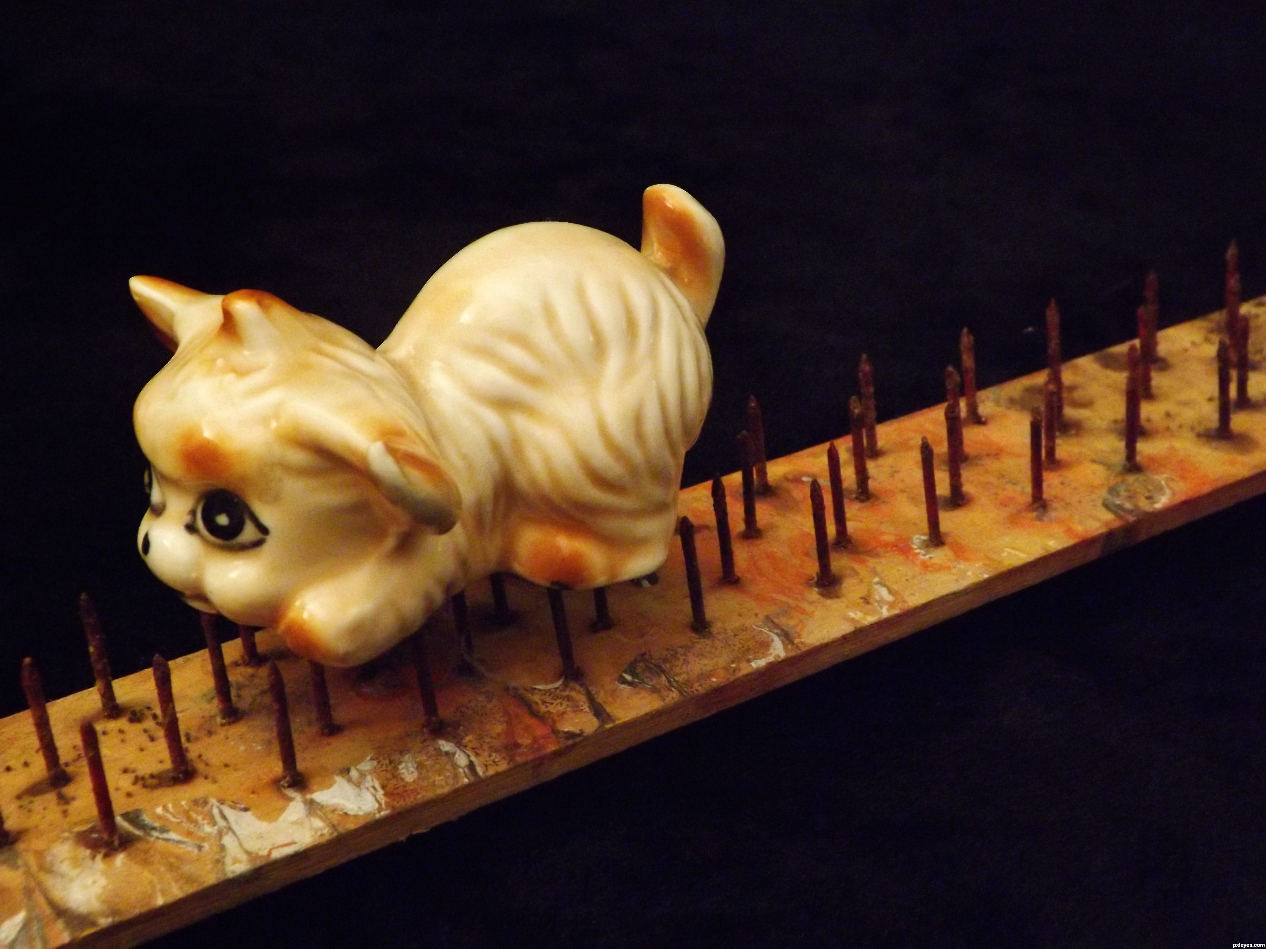 Fakir Photography Contest Picture