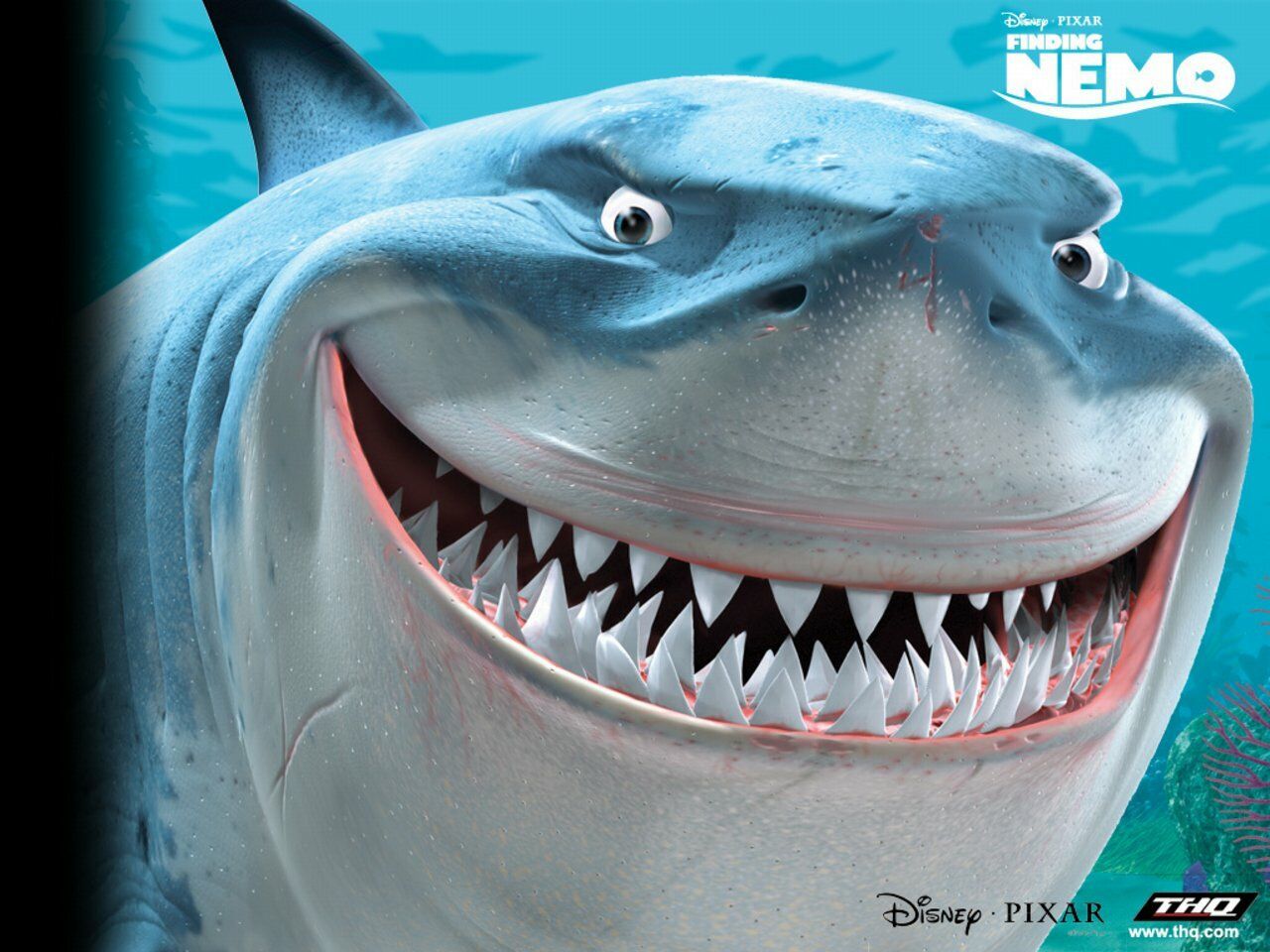 Shark Finding Nemo