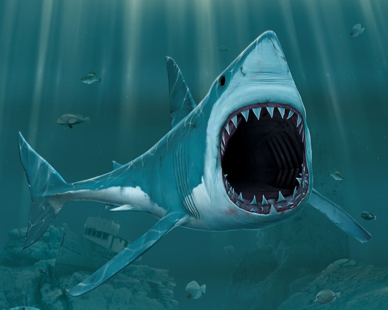 Shark Teeth High Definition Wallpaper 19485